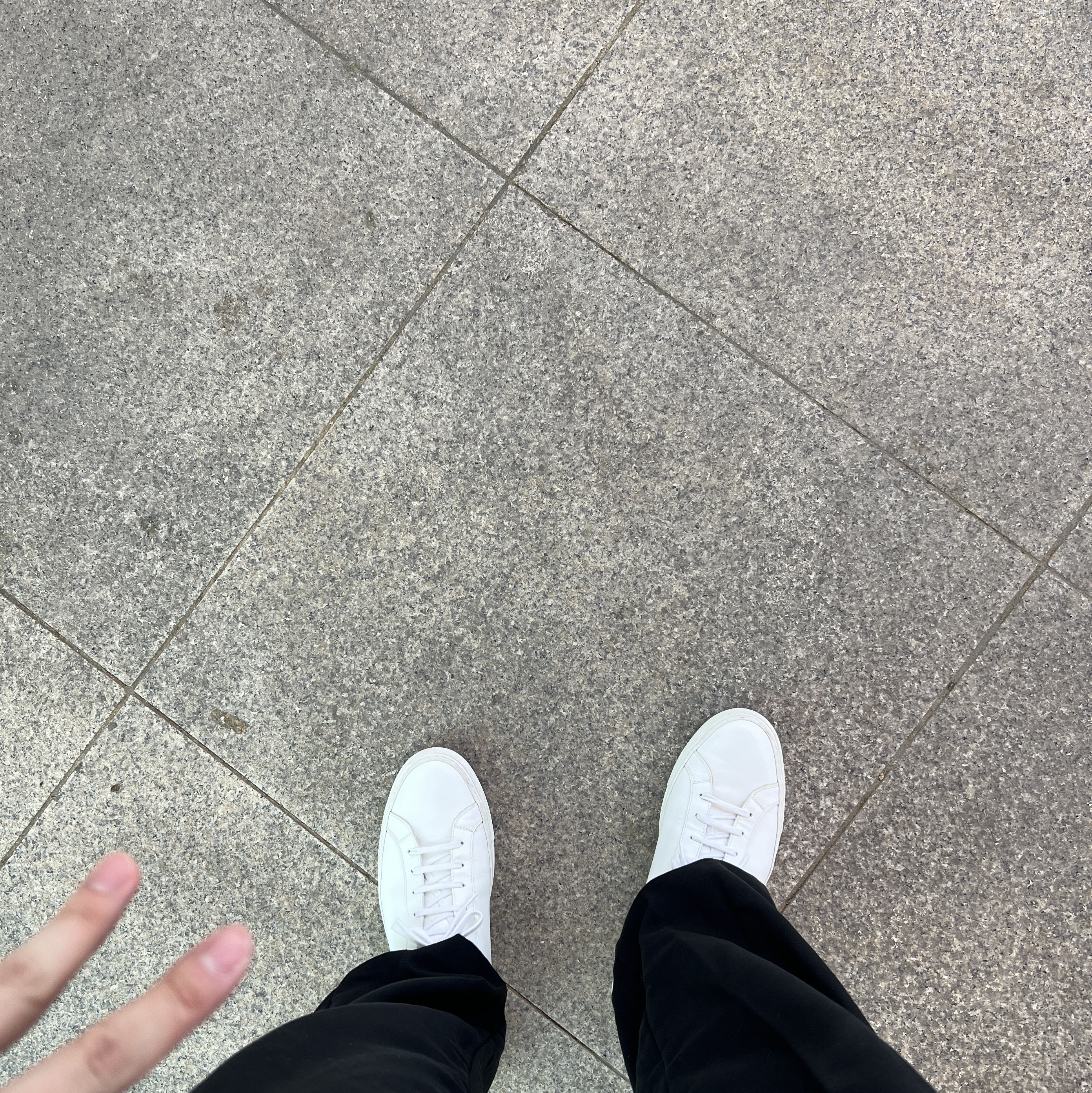 Common Projects Original Achilles Low White 착용 스타일
