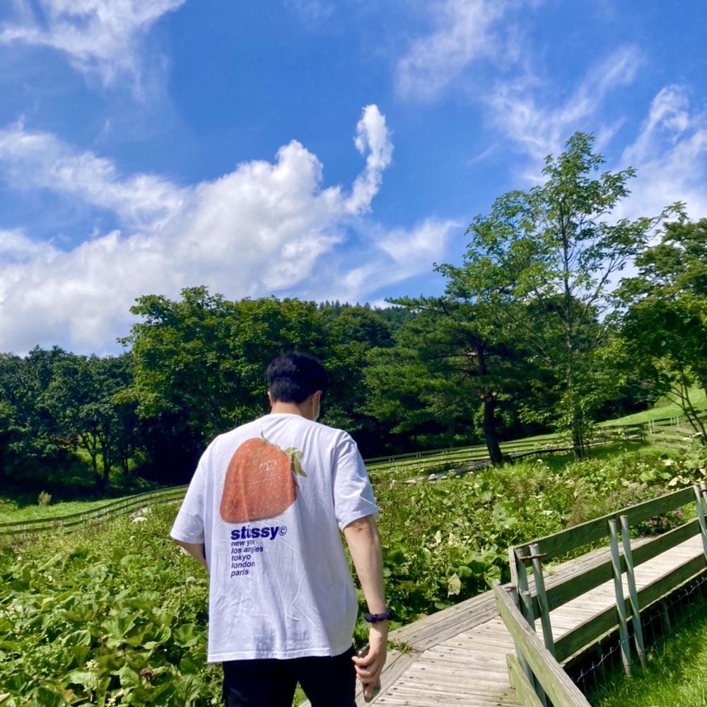 Stussy Strawberry T-Shirt White 착용 스타일