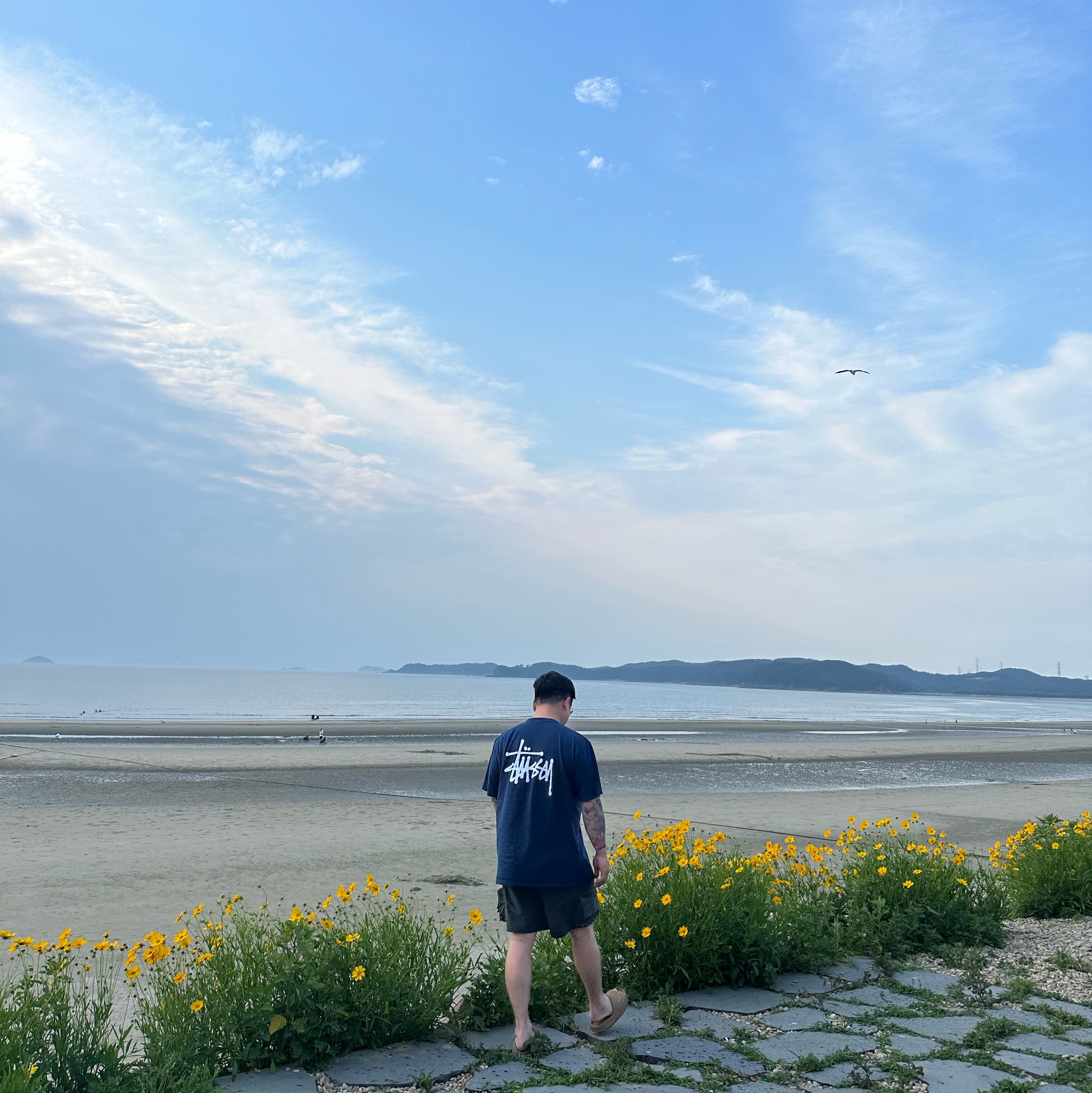 Stussy Basic Stussy T-Shirt Navy 2023, Nike ACG Cargo Shorts Sequoia - Asia 착용 스타일