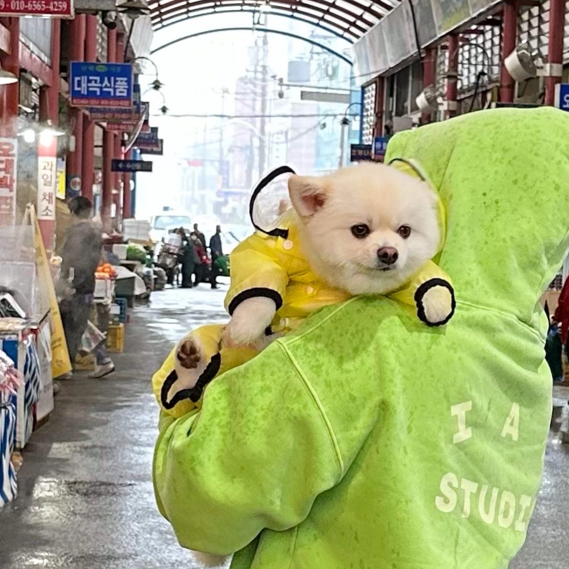 IAB Studio Pigment Hoodie & Sack Apple Green 착용 스타일