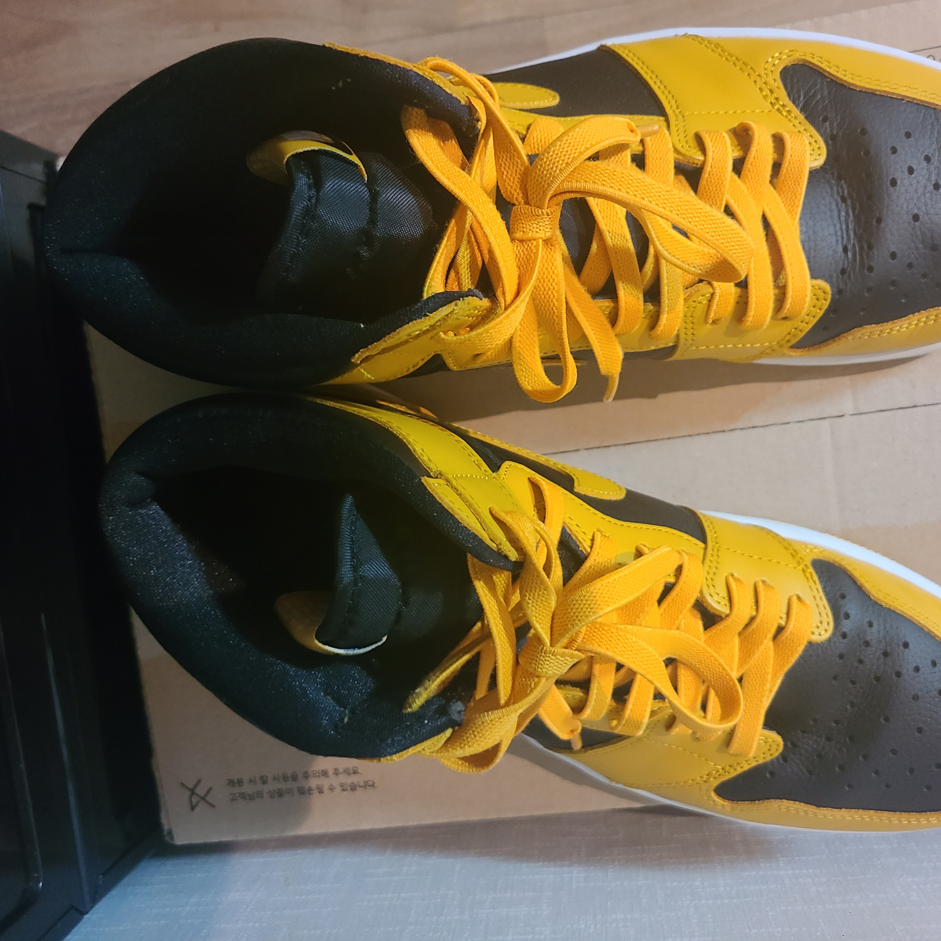 Jordan 1 Retro High OG Pollen 착용 스타일