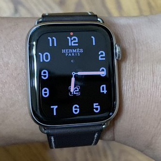Apple Watch Hermes Series 8 45mm Silver Stainless Steel Case with Single Tour Noir (Korean Ver.) 착용 스타일