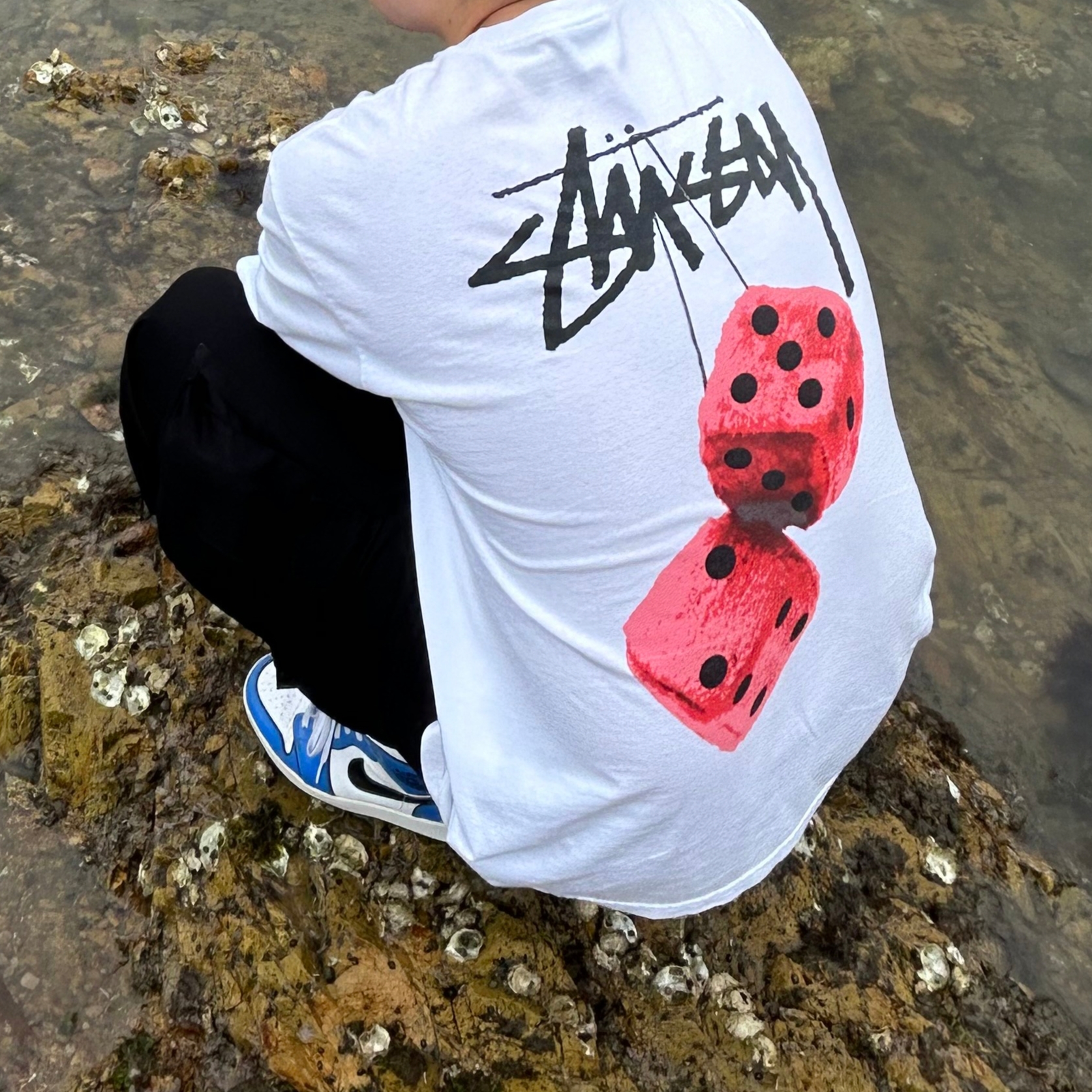 Stussy Fuzzy Dice T-Shirt White, Jordan 1 Mid SE Signal Blue 착용 스타일 - 3