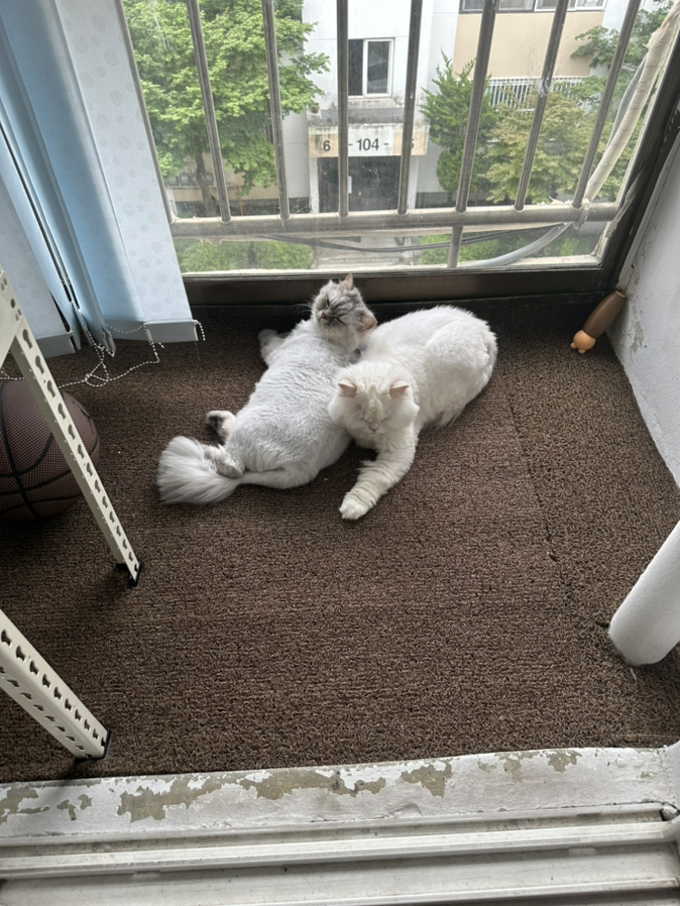 관심 유저 프로필 이미지