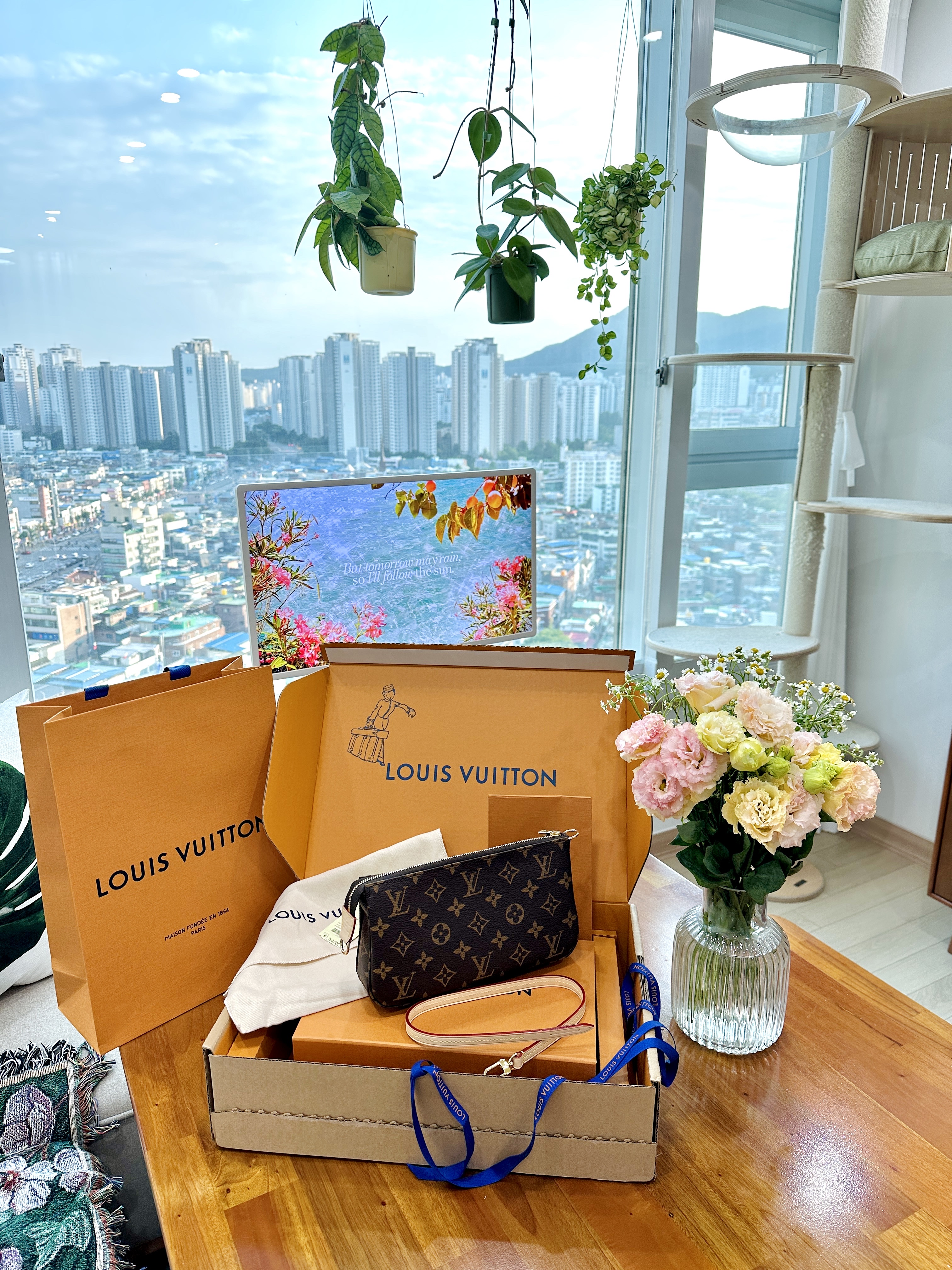 Louis Vuitton Pochette Accessoires NM Monogram 착용 스타일