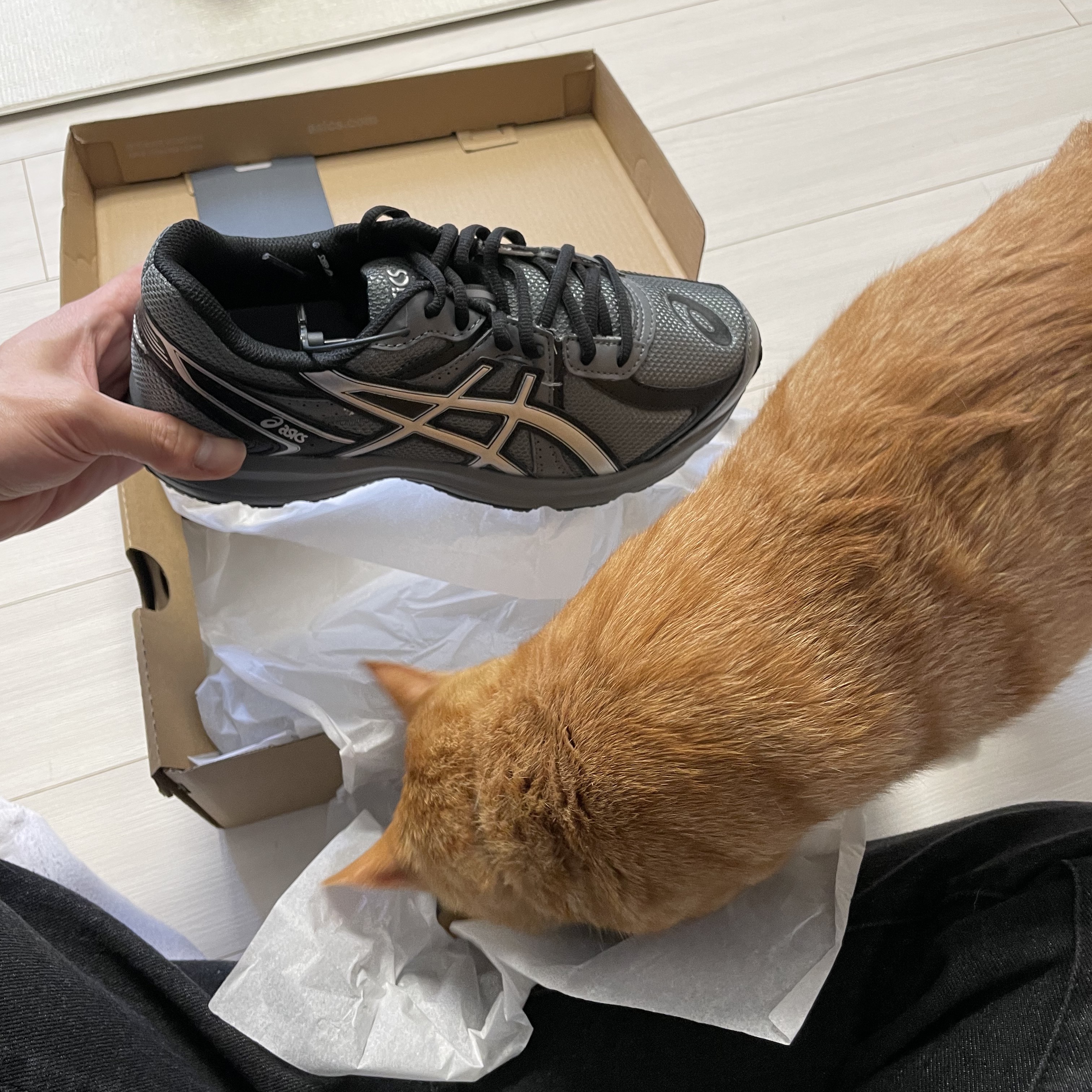Asics Jog 100 S Steel Grey - 2E Wide 착용 스타일 - 1