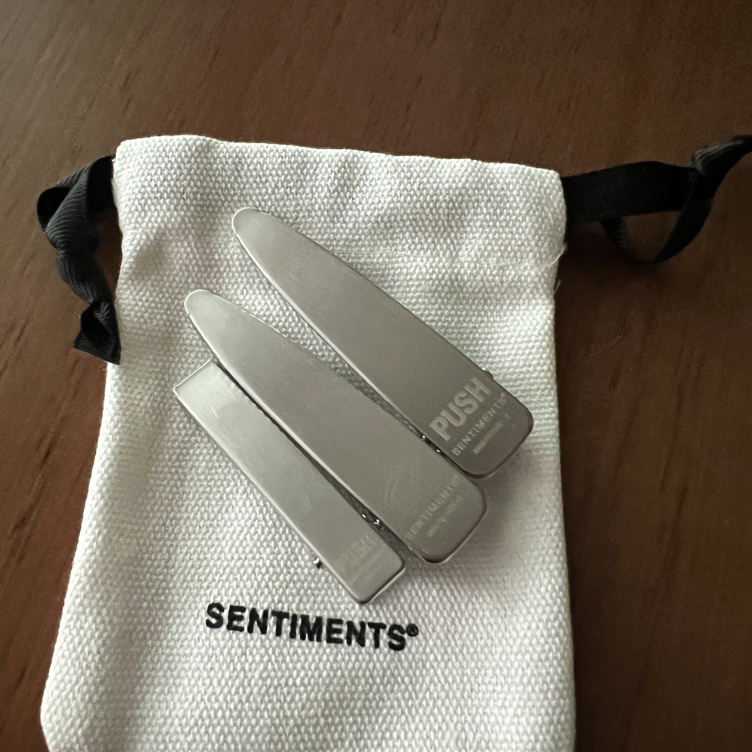 Sentiments No.352 Hair Pin 3 Set Push Pin Clip Silver 착용 스타일