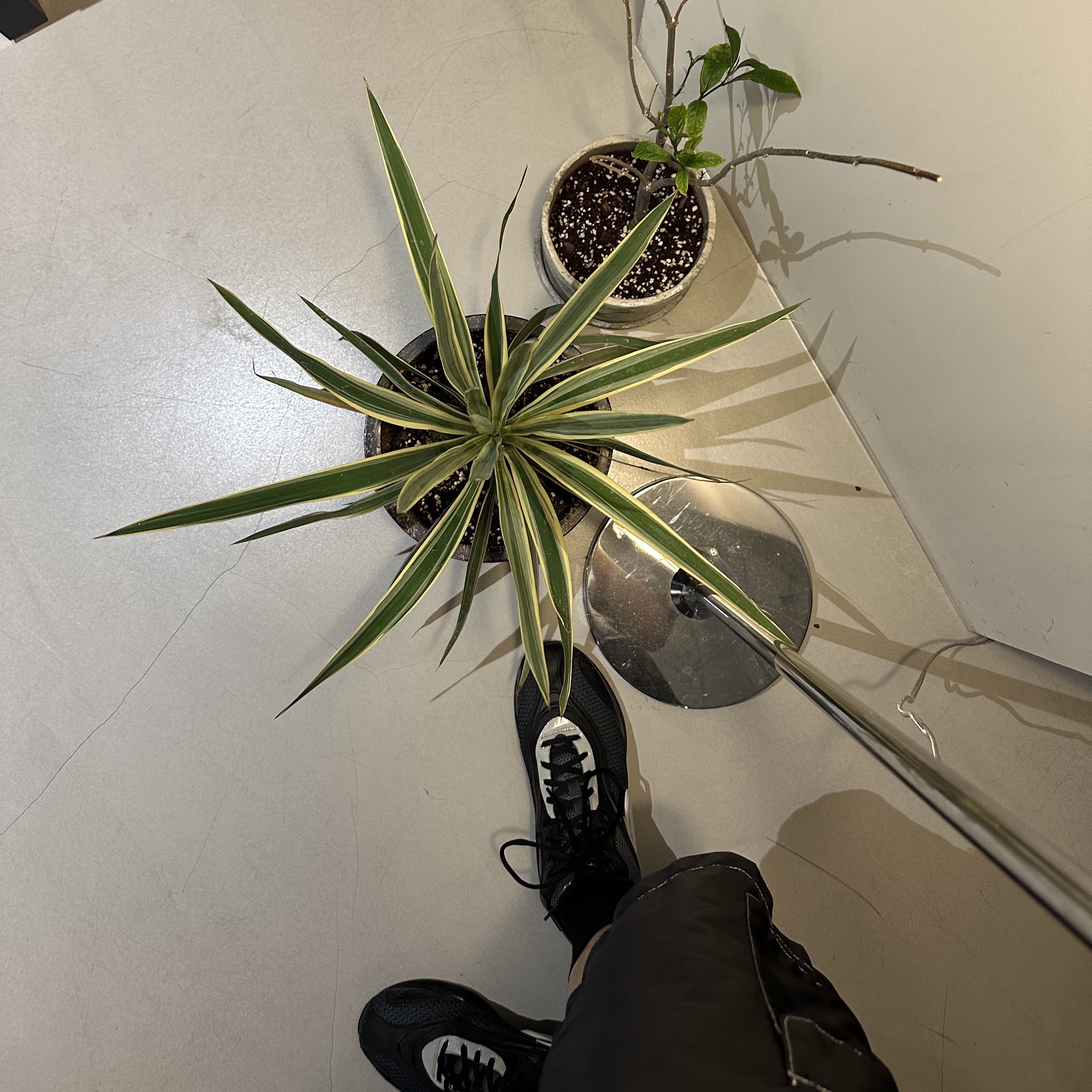 Asics x Kiko Kostadinov Gel-Sokat 2 Carrier Grey 착용 스타일