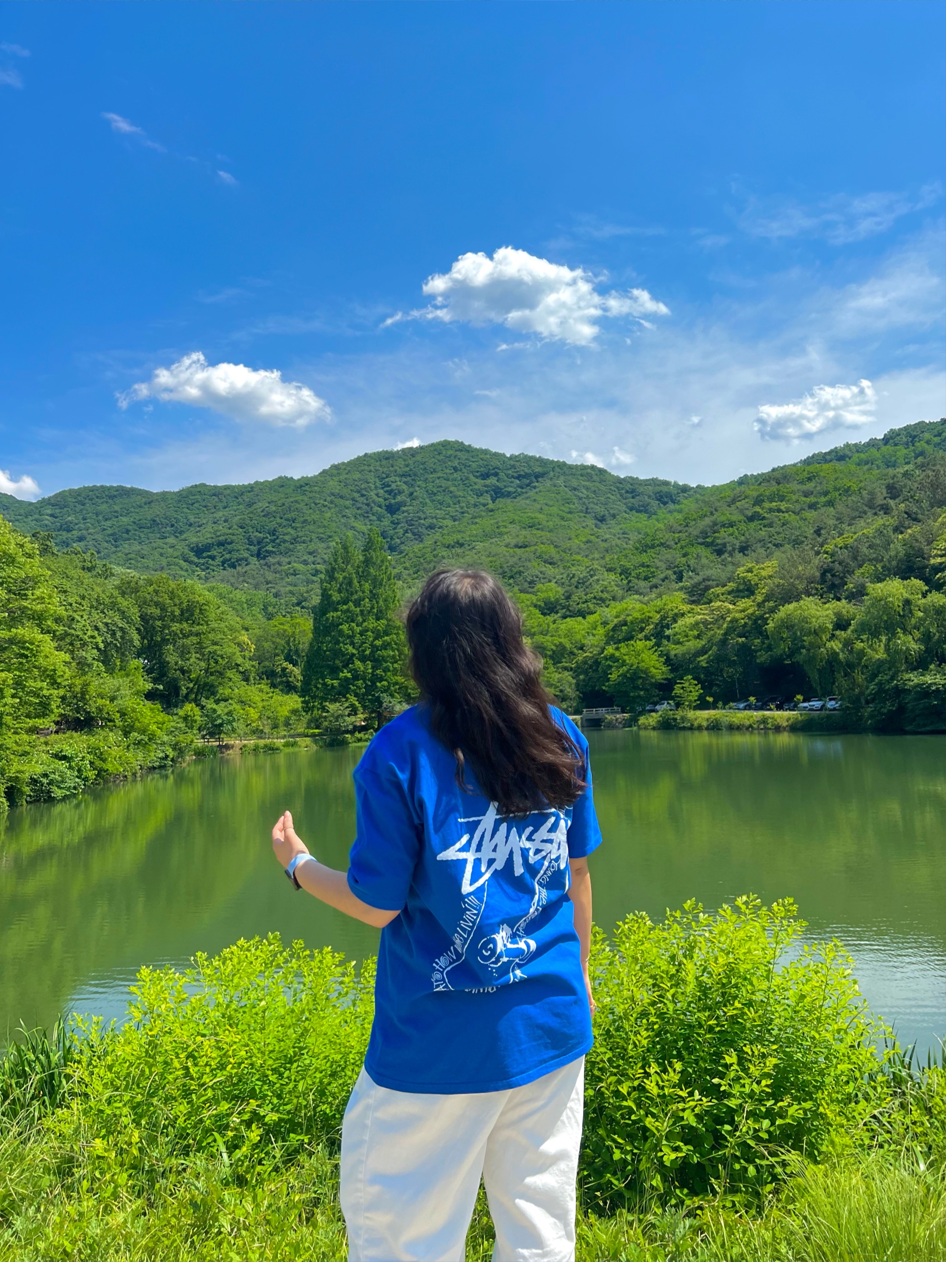 Stussy Skate Posse Pigment Dyed T-Shirt Blue 착용 스타일