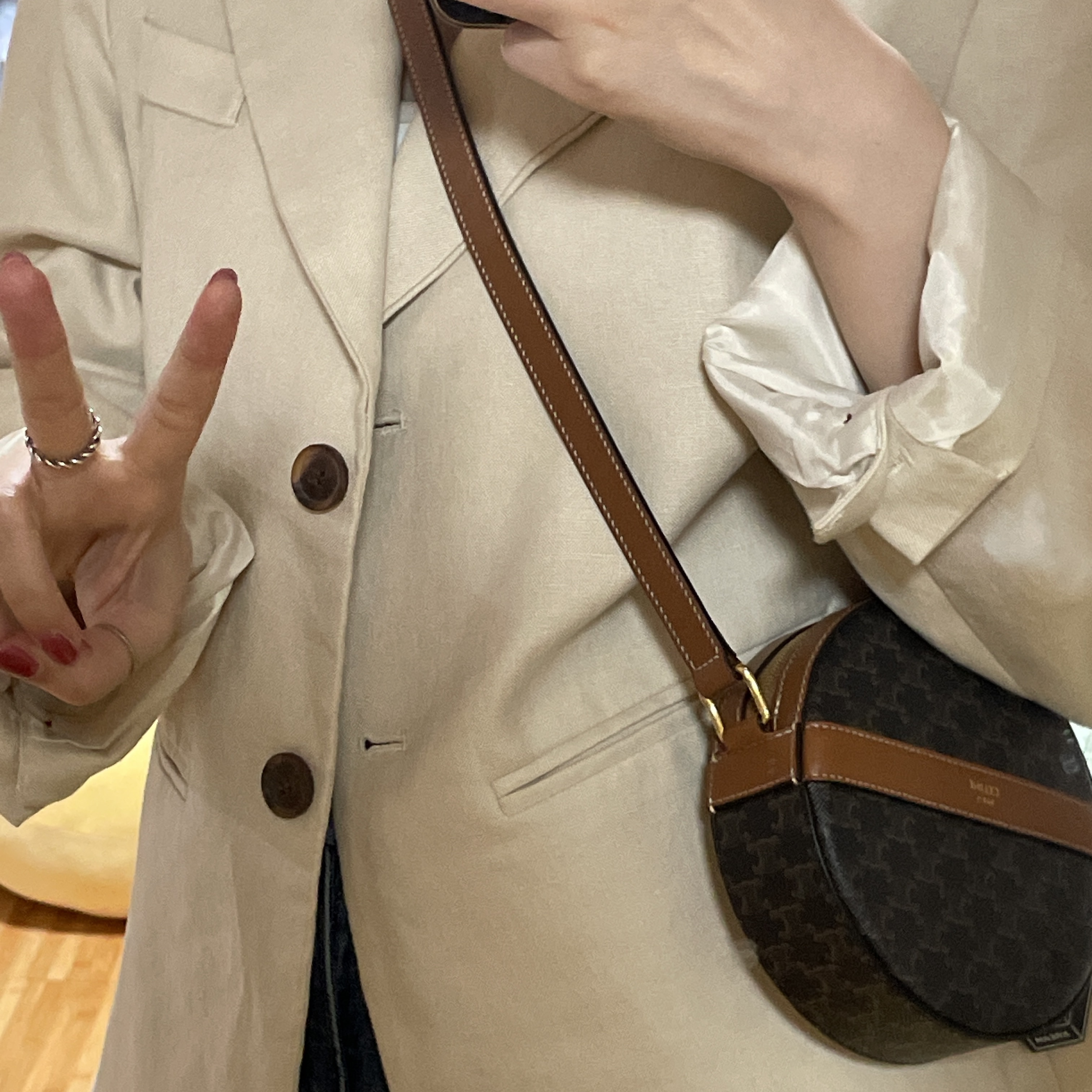 Celine Round Purse On Strap in Triomphe Canvas and Lambskin Black Tan 착용 스타일 - 2