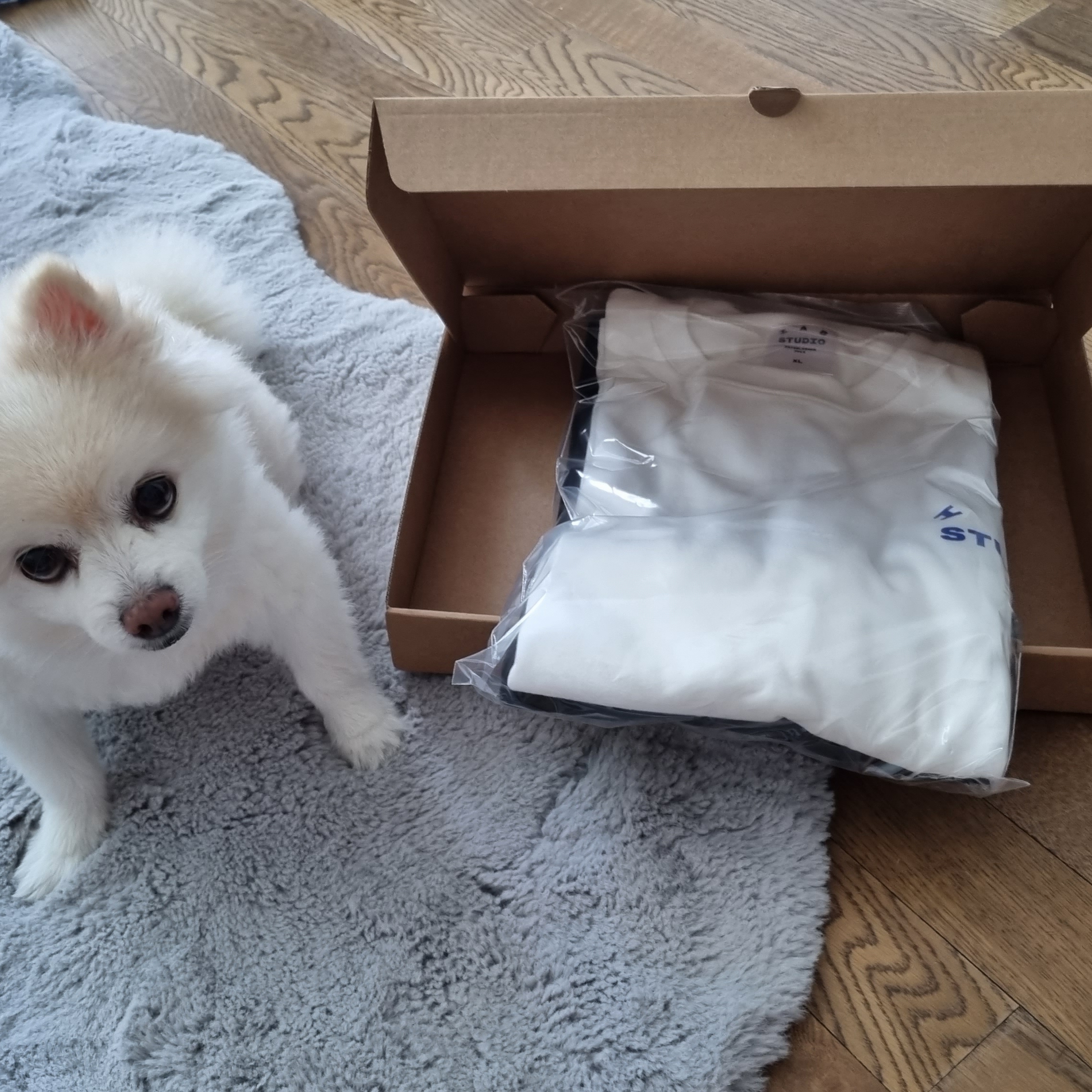 IAB Studio 10th Anniversary T-Shirts Pack White & Black (2 Pack) 착용 스타일