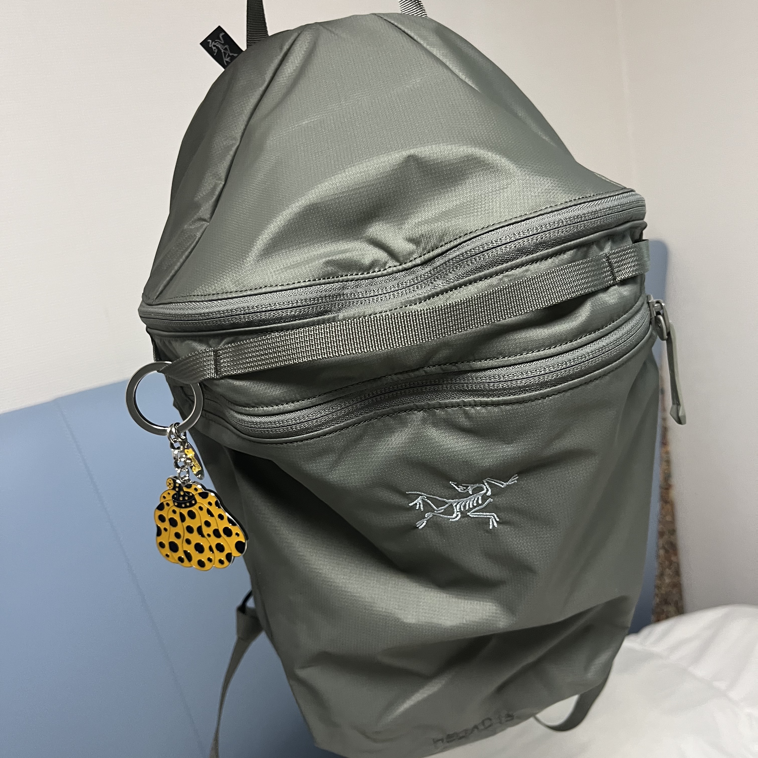 Arc'teryx Heliad 15 Backpack Forage 착용 스타일