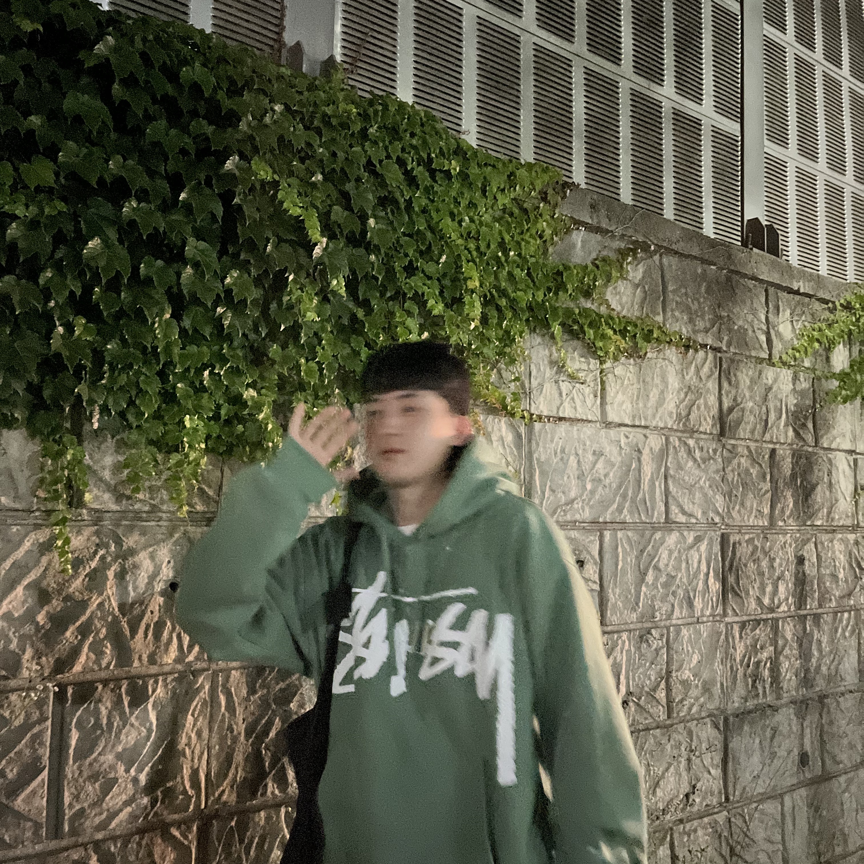 Stussy Big Stock Hoodie Green 착용 스타일 - 1