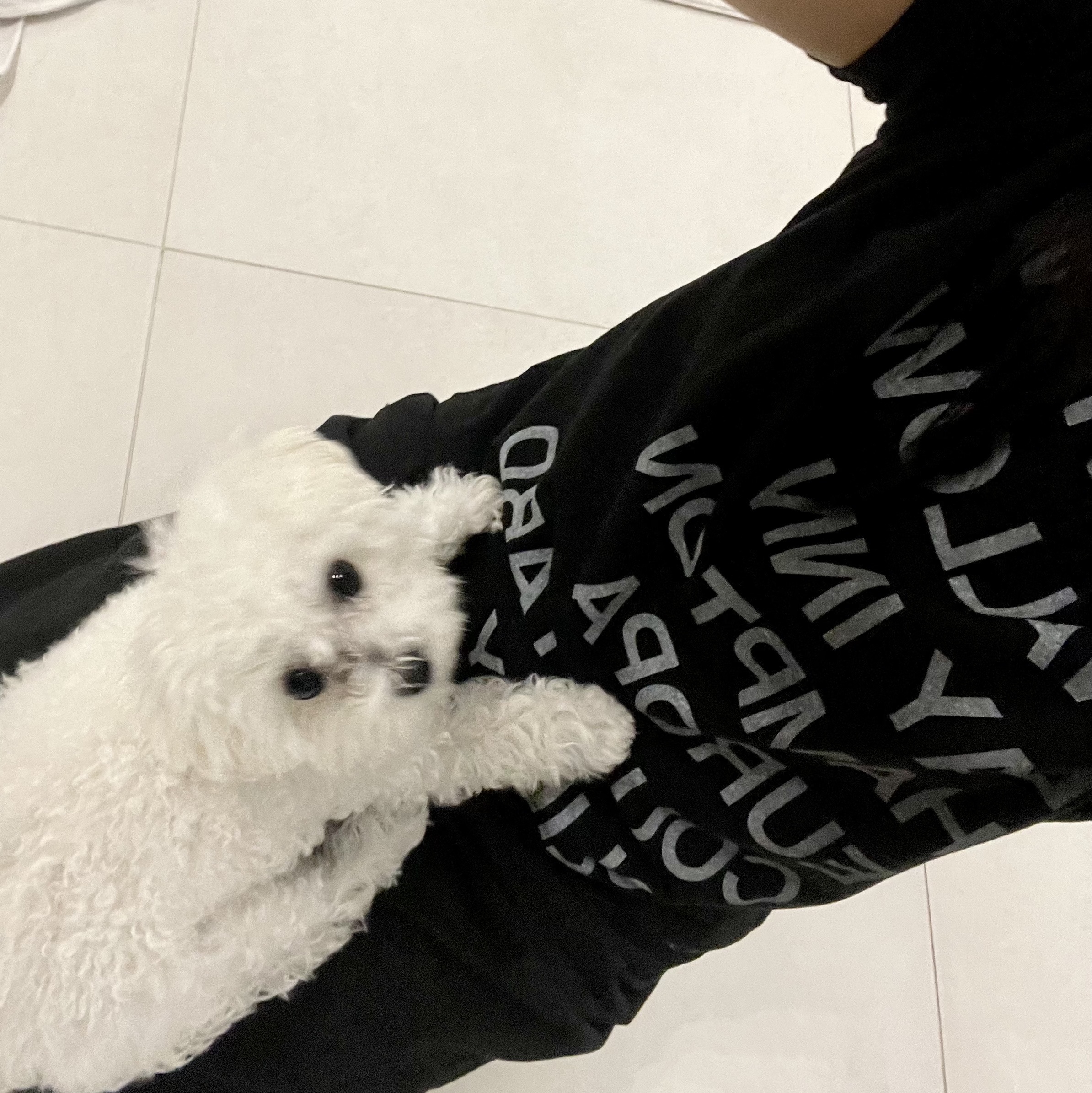 [KREAM 단독] Safarispot Women 1/2 Highway Inn T-Shirt Black White 착용 스타일 - 1