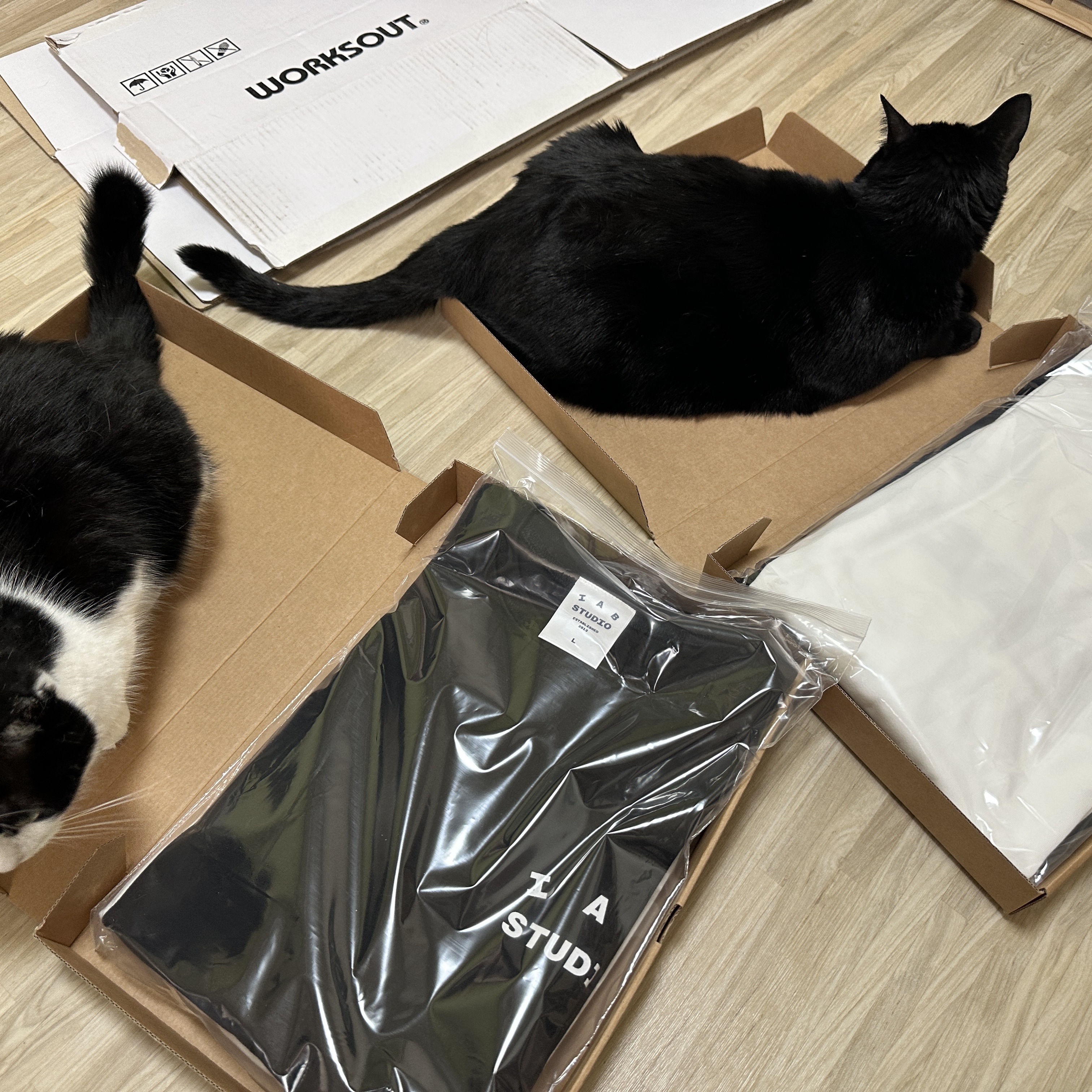IAB Studio 10th Anniversary T-Shirts Pack White & Black (2 Pack) 착용 스타일 - 2