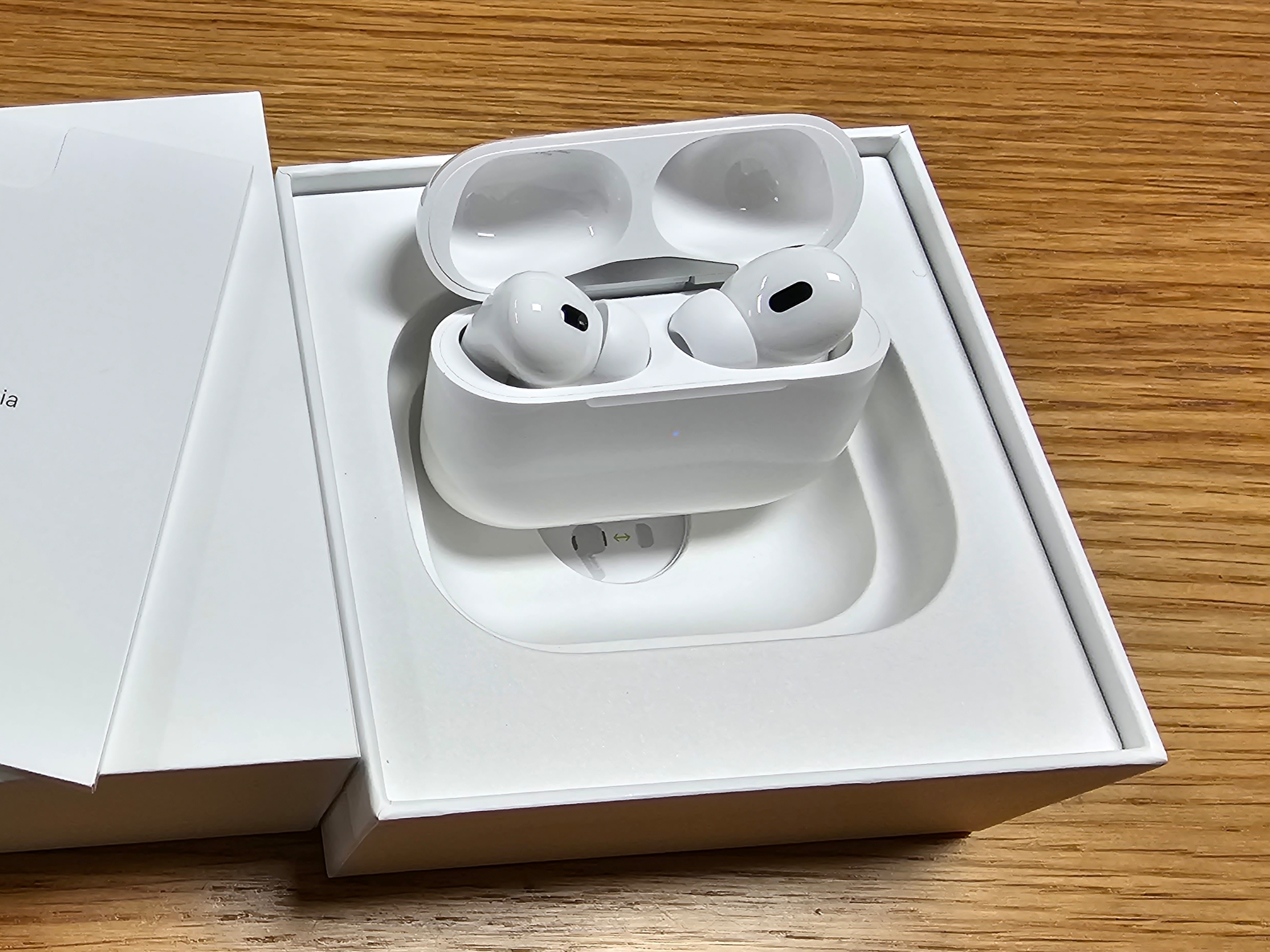 Apple AirPods Pro 2nd Gen (Korean Ver.) 착용 스타일
