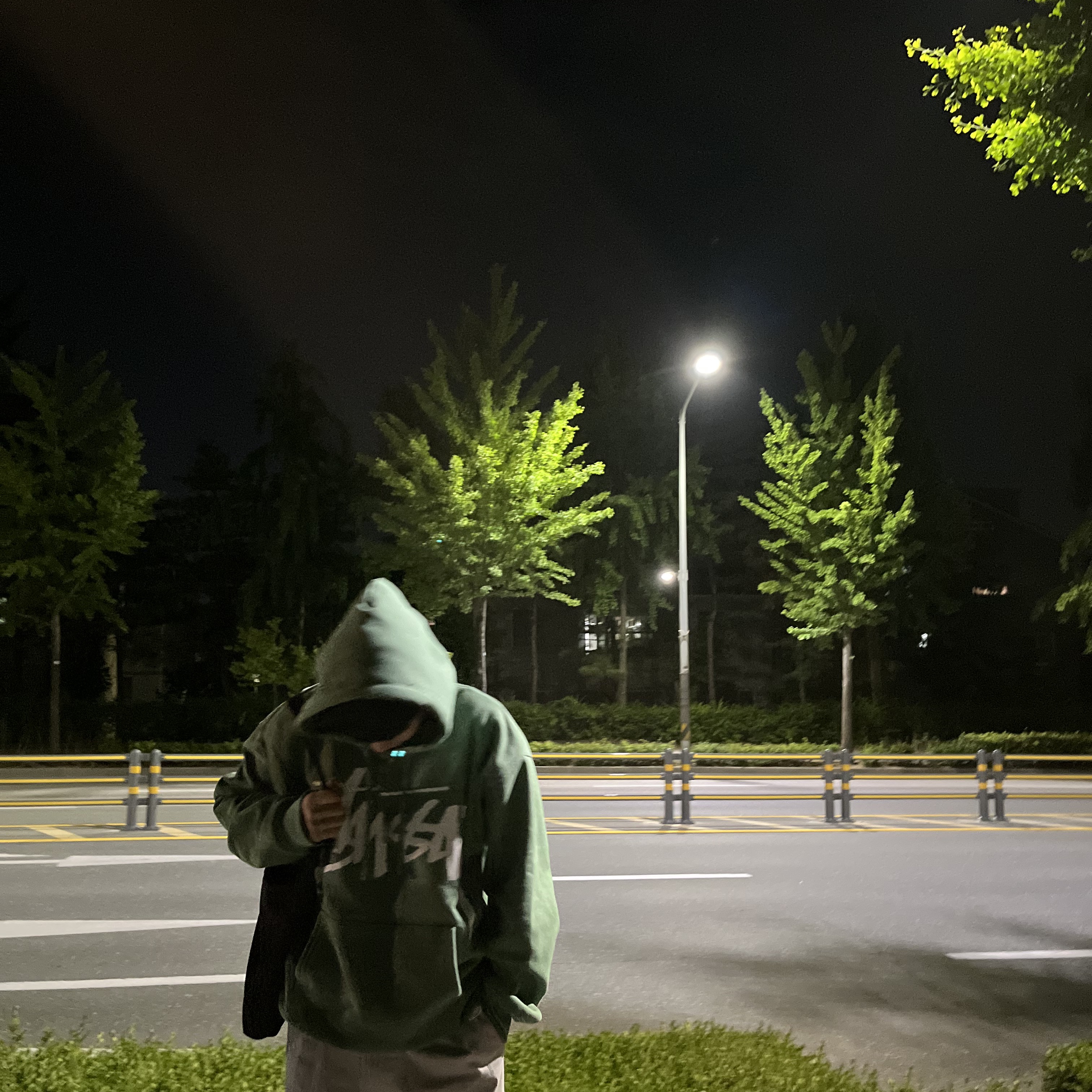 Stussy Big Stock Hoodie Green 착용 스타일 - 2