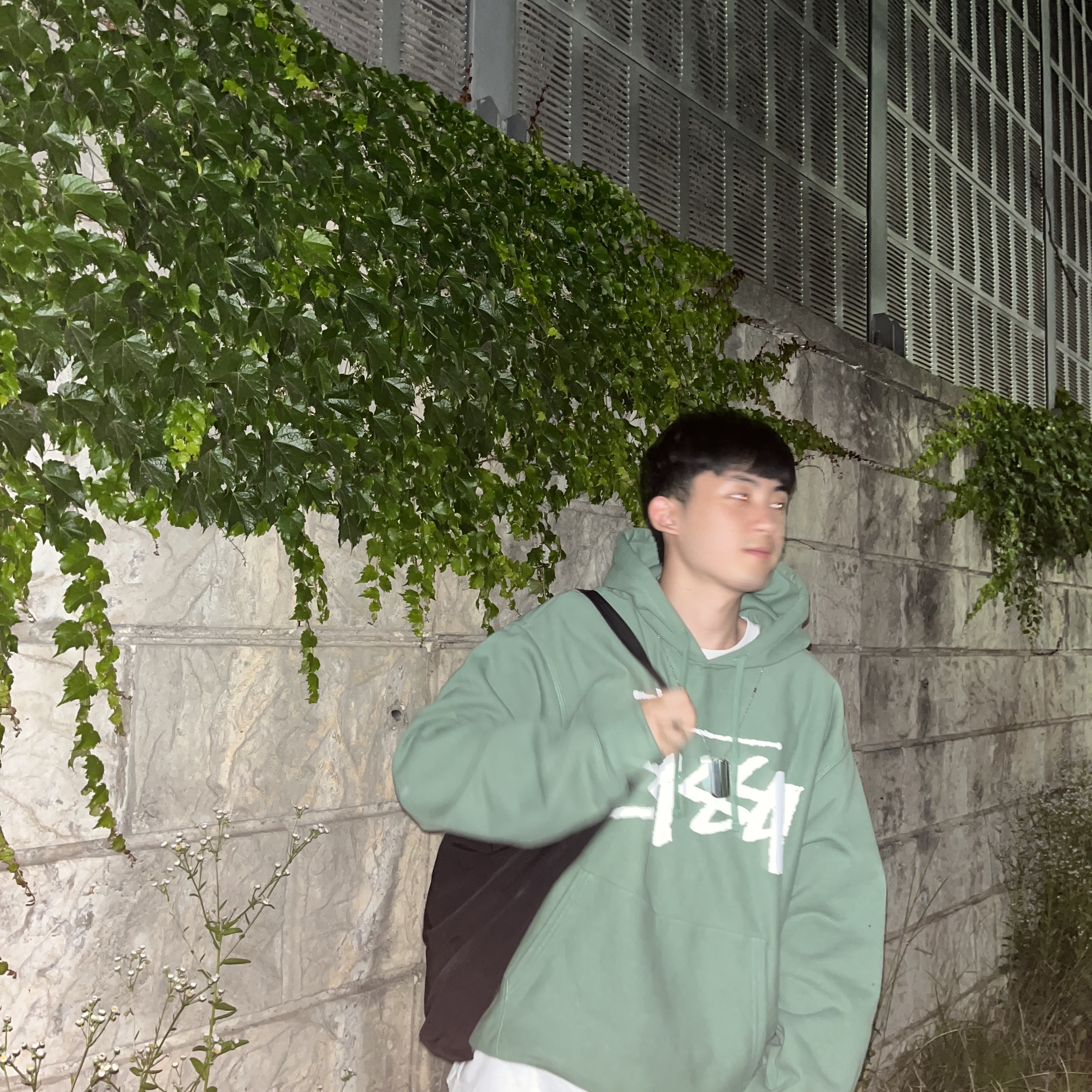 Stussy Big Stock Hoodie Green 착용 스타일 - 3