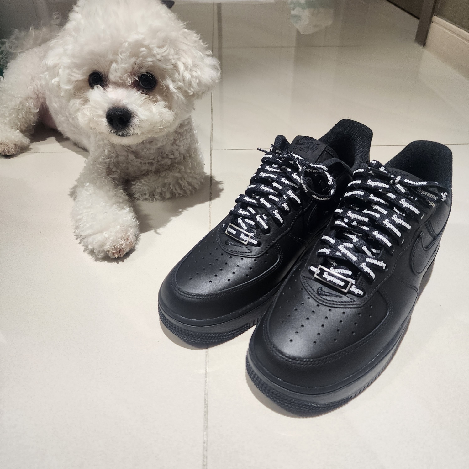 Nike x Supreme Air Force 1 Low Black 착용 스타일