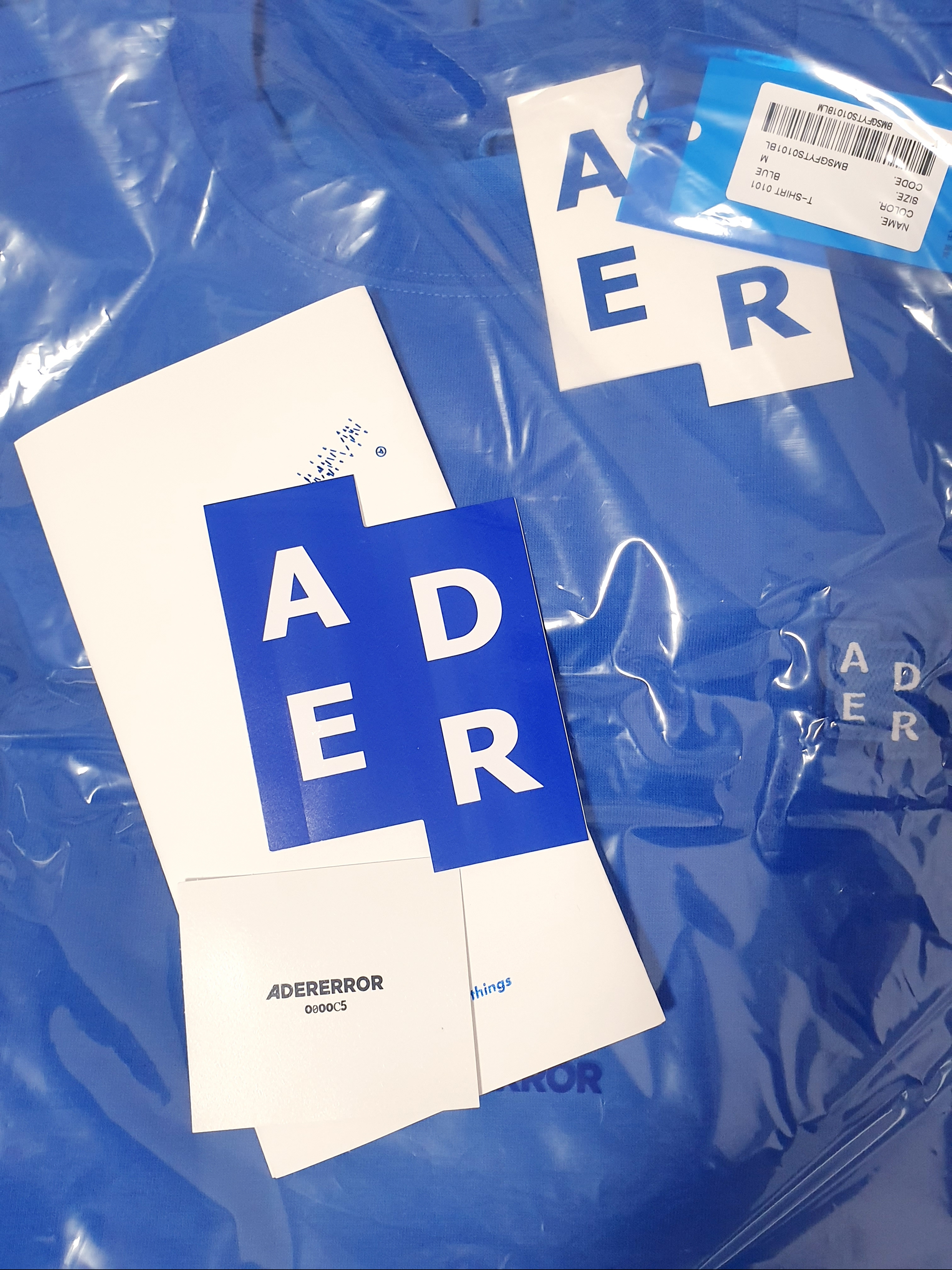 Ader Error Sig; TRS/BL Tag T-Shirt 01 Z-Blue 착용 스타일