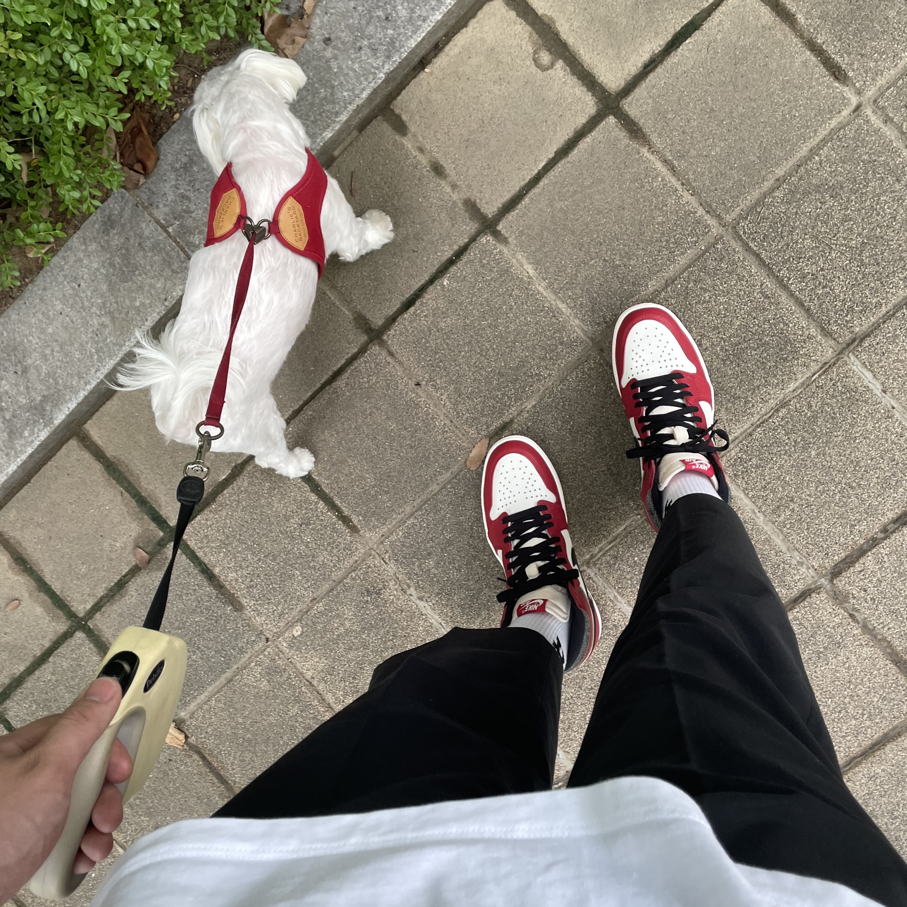 Jordan 1 Retro High OG Chicago 2022 착용 스타일