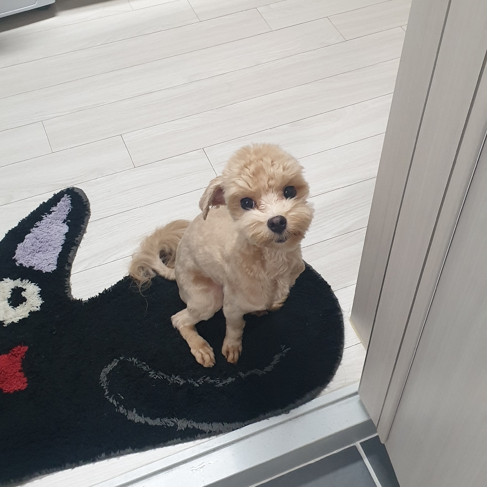 관심 유저 프로필 이미지