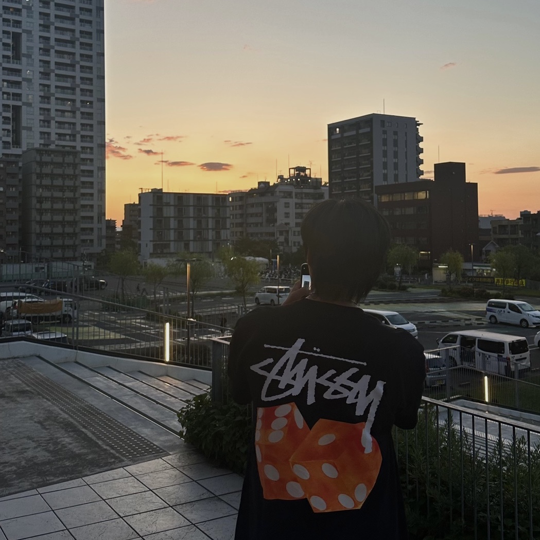 Stussy Diced Out T-Shirt Black 착용 스타일