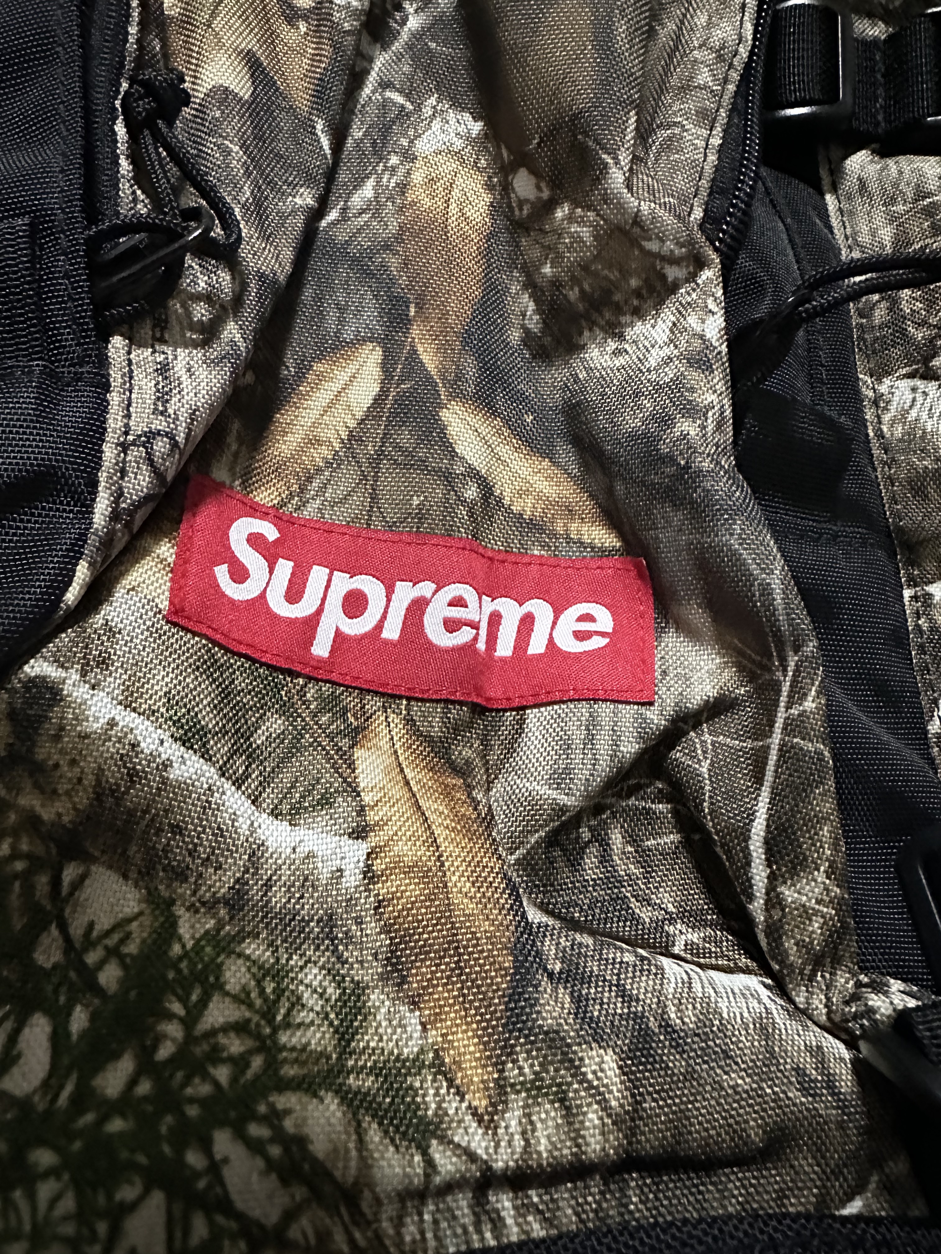 Supreme Backpack Real Tree Camo - 19FW 착용 스타일 - 4