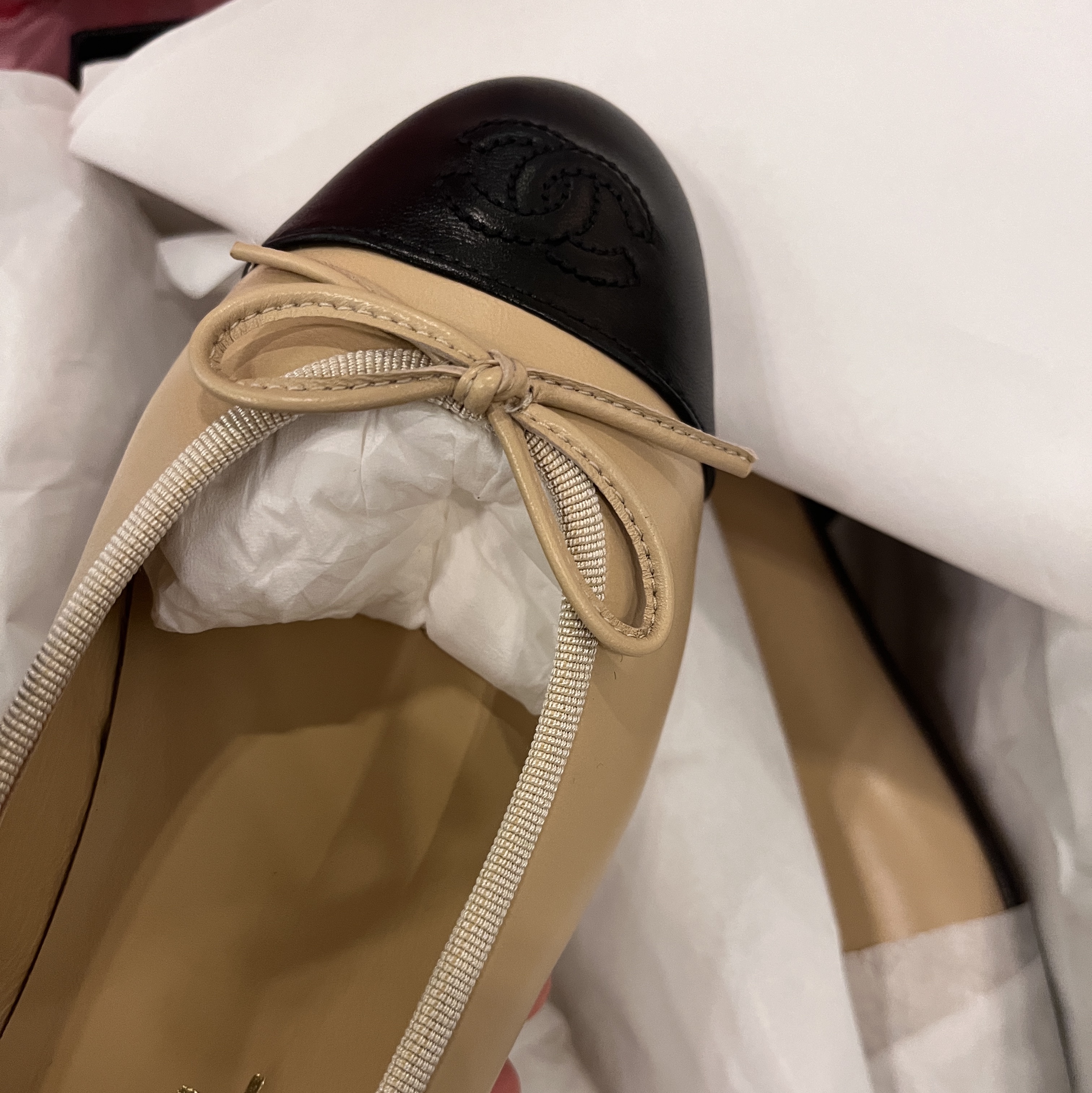 (W) Chanel Ballerina Flat Lambskin & Beige Black 착용 스타일