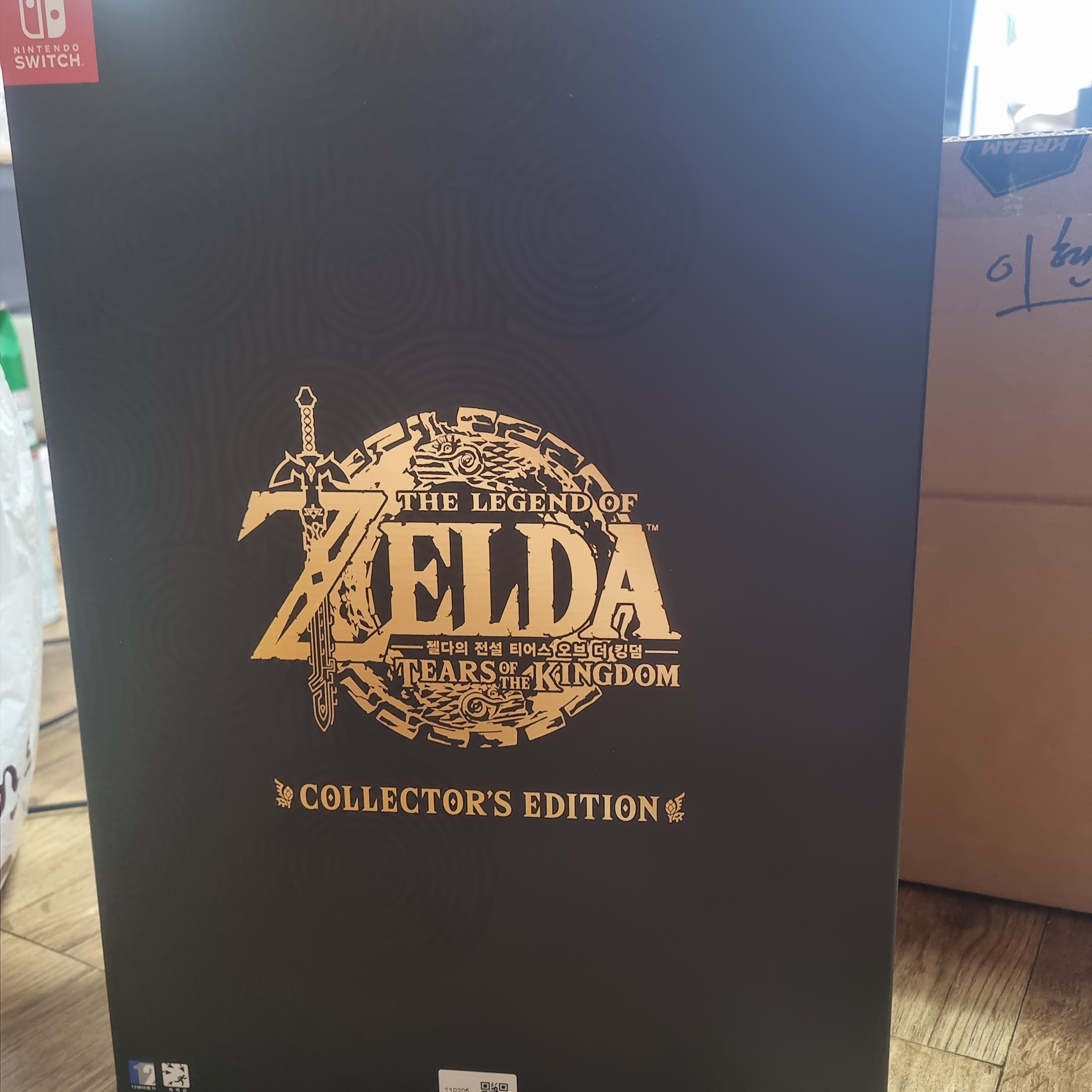 Nintendo Switch The Legend of Zelda Tears of The Kingdom - Collector's Edition (With Title/Korean Ver.) 착용 스타일