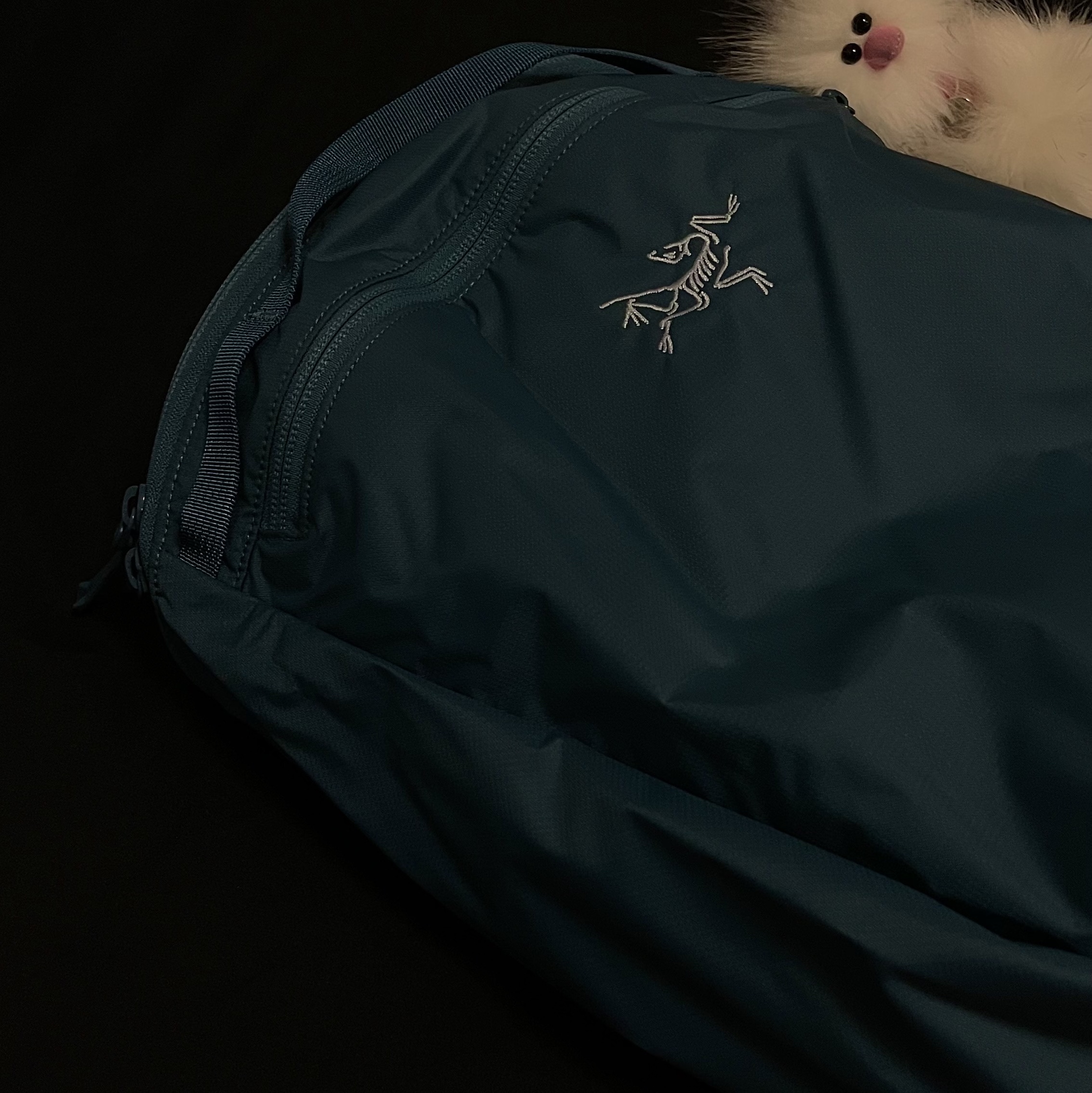 Arc'teryx Heliad 15 Backpack Serene 착용 스타일