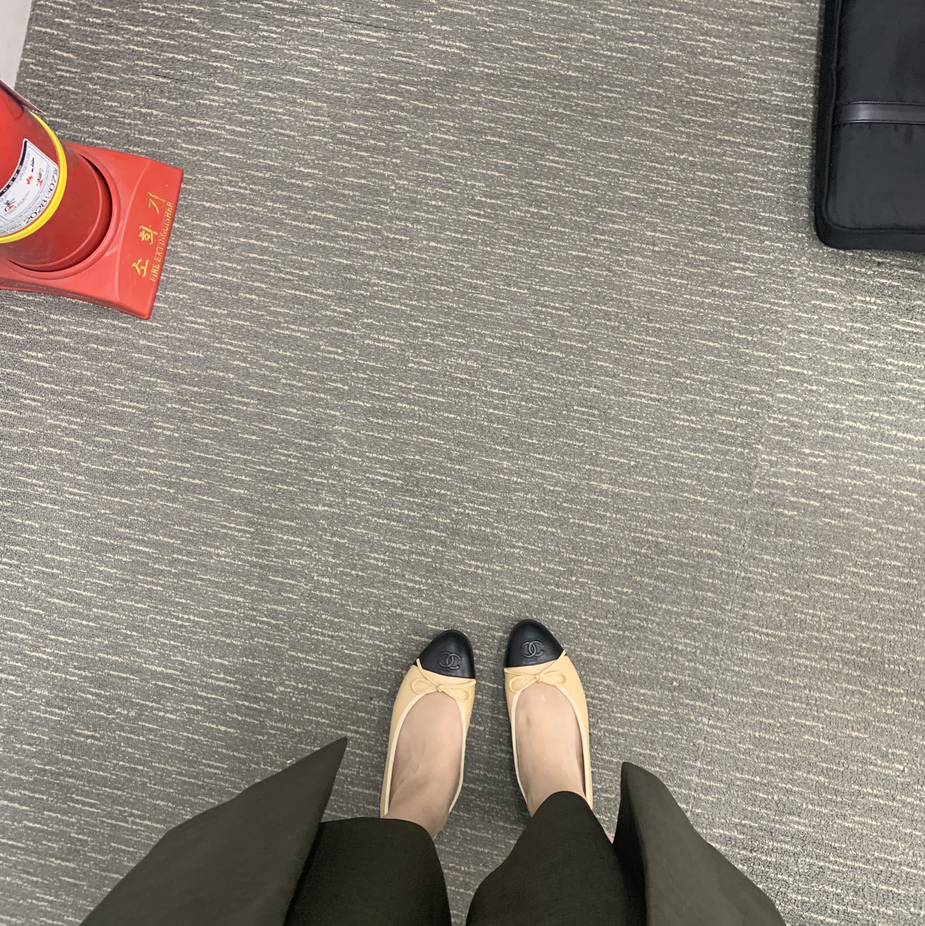 (W) Chanel Ballerina Flat Lambskin & Beige Black 착용 스타일