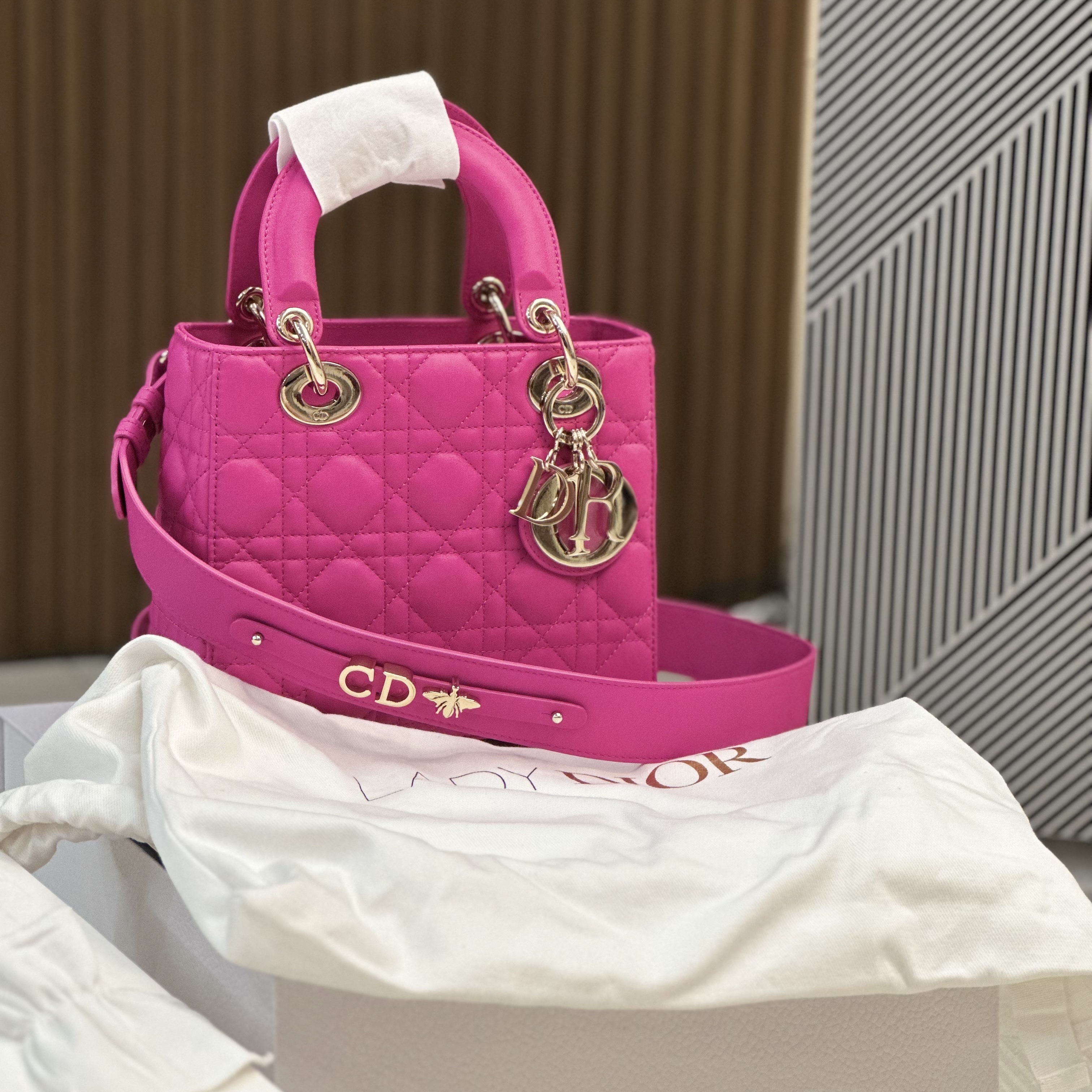 Dior Small Lady Bag My ABCDior Cannage Lambskin Rani Pink, Jordan 1 x Travis Scott Retro High OG SP Mocha 착용 스타일 - 1