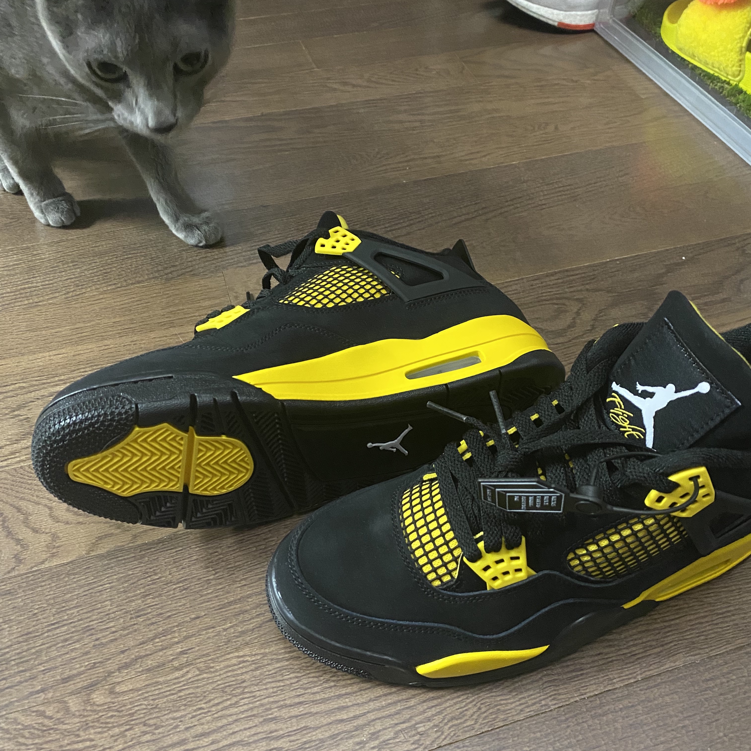 Jordan 4 Retro Thunder 2023 착용 스타일 - 2