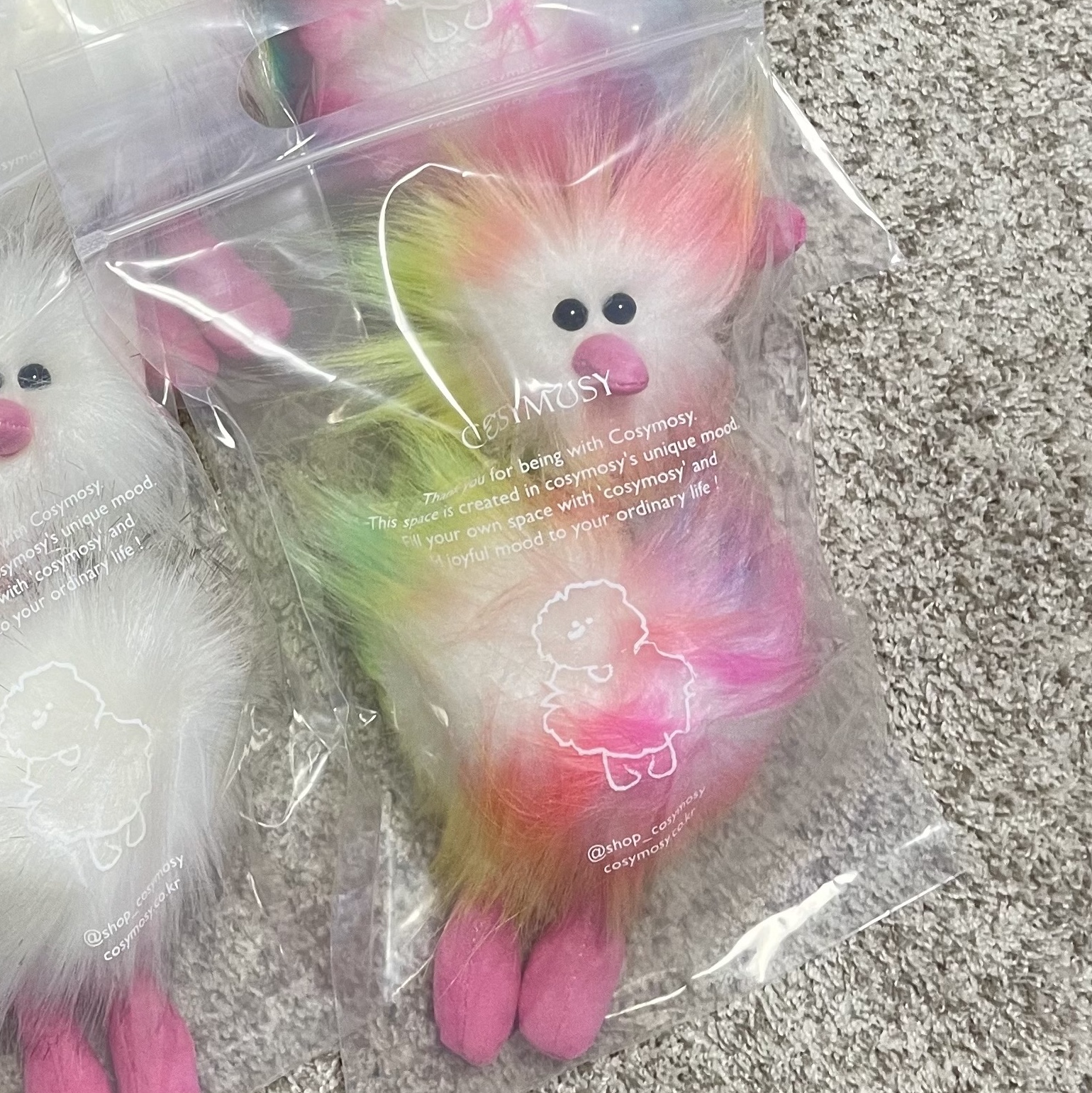 Cosymosy Ugly Bird Keyring Rainbow 착용 스타일