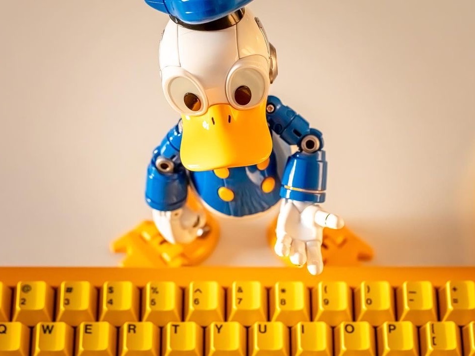 Blitzway Donald Duck 착용 스타일
