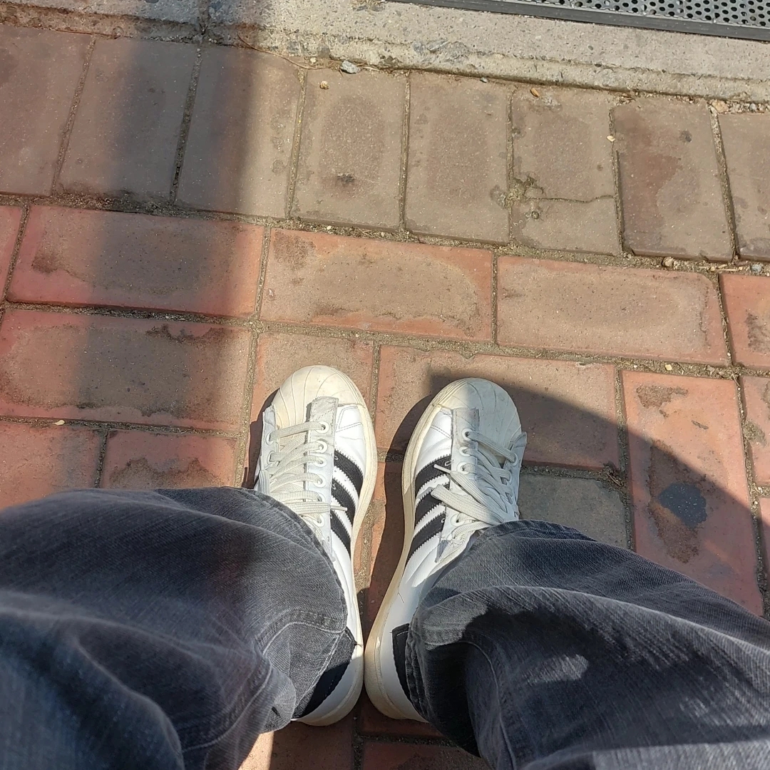 Adidas x Parley Superstar White 착용 스타일
