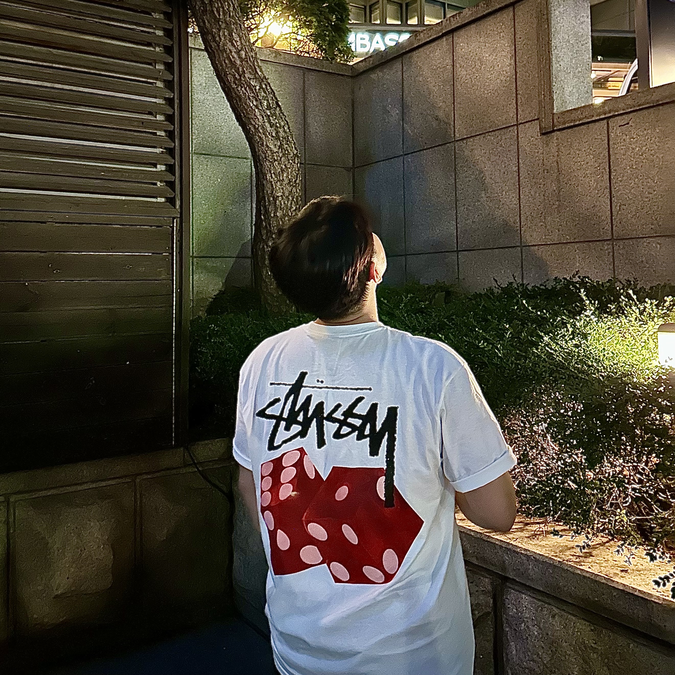 Stussy Diced Out T-Shirt White 착용 스타일