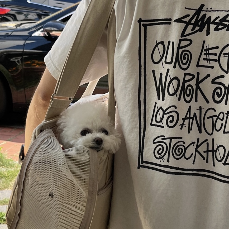 Stussy x Our Legacy Frame Pigment Dyed T-Shirt Natural 착용 스타일
