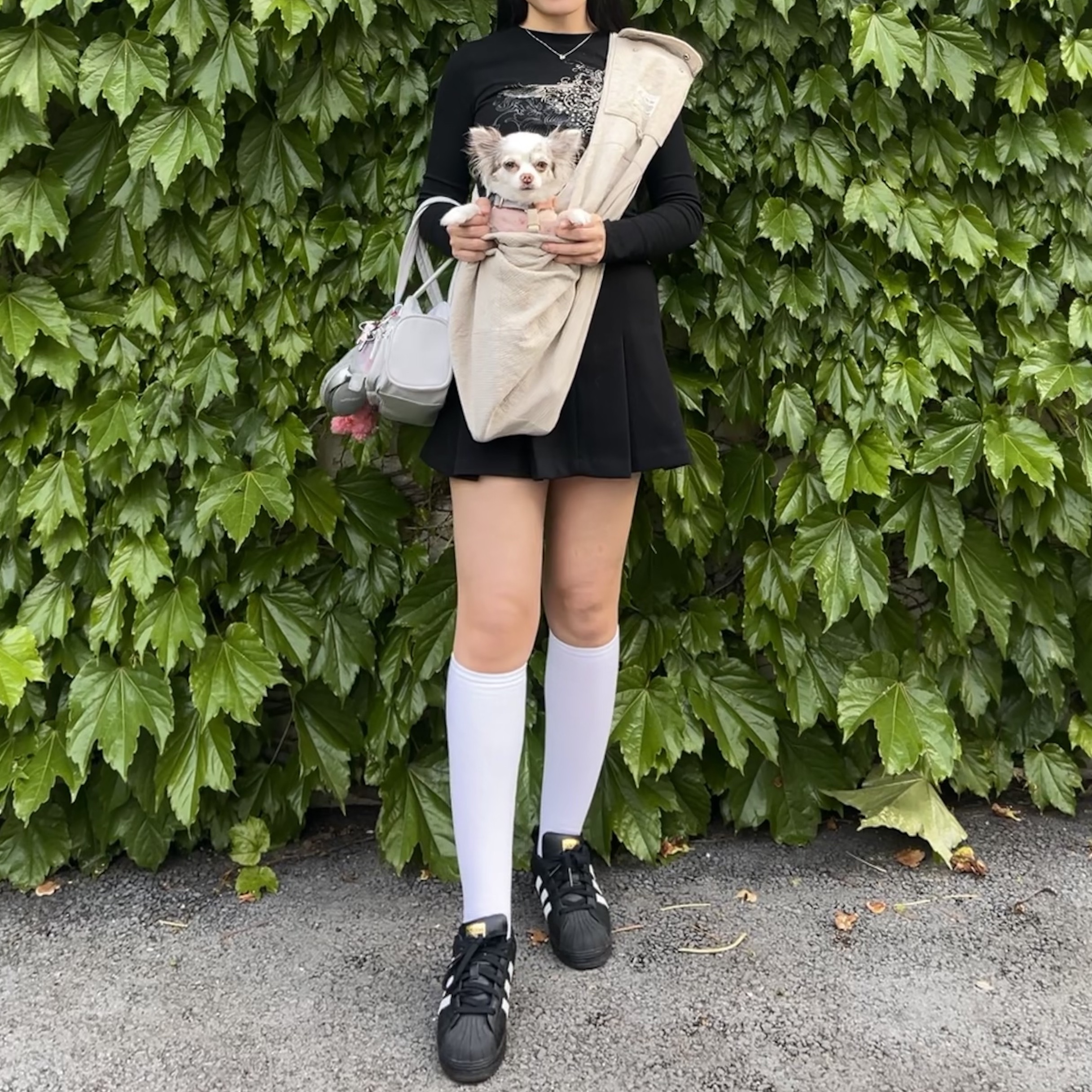 (J) Adidas Superstar Black White 착용 스타일 - 3