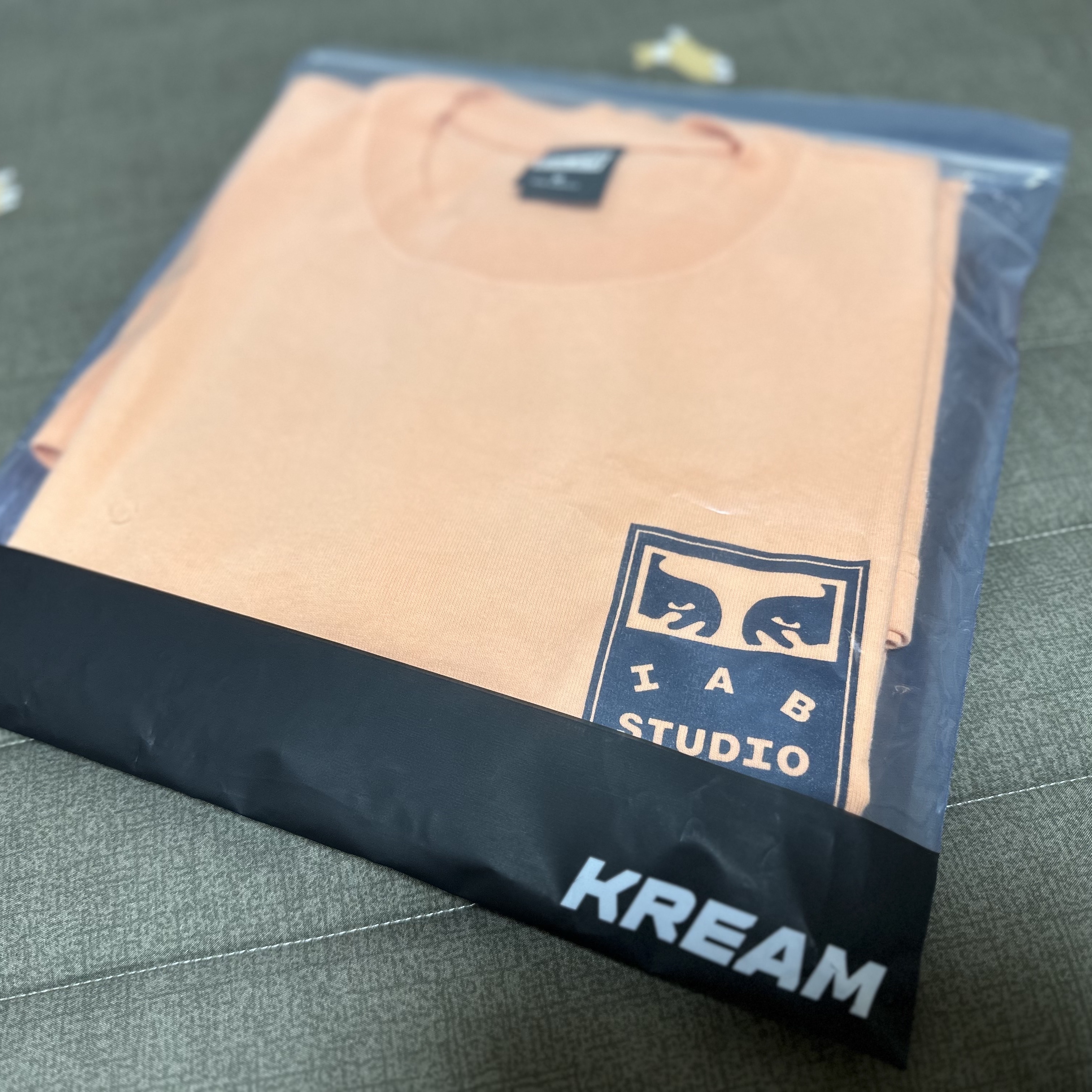 IAB Studio x Obey Eyes Icon T-Shirt Melon 착용 스타일