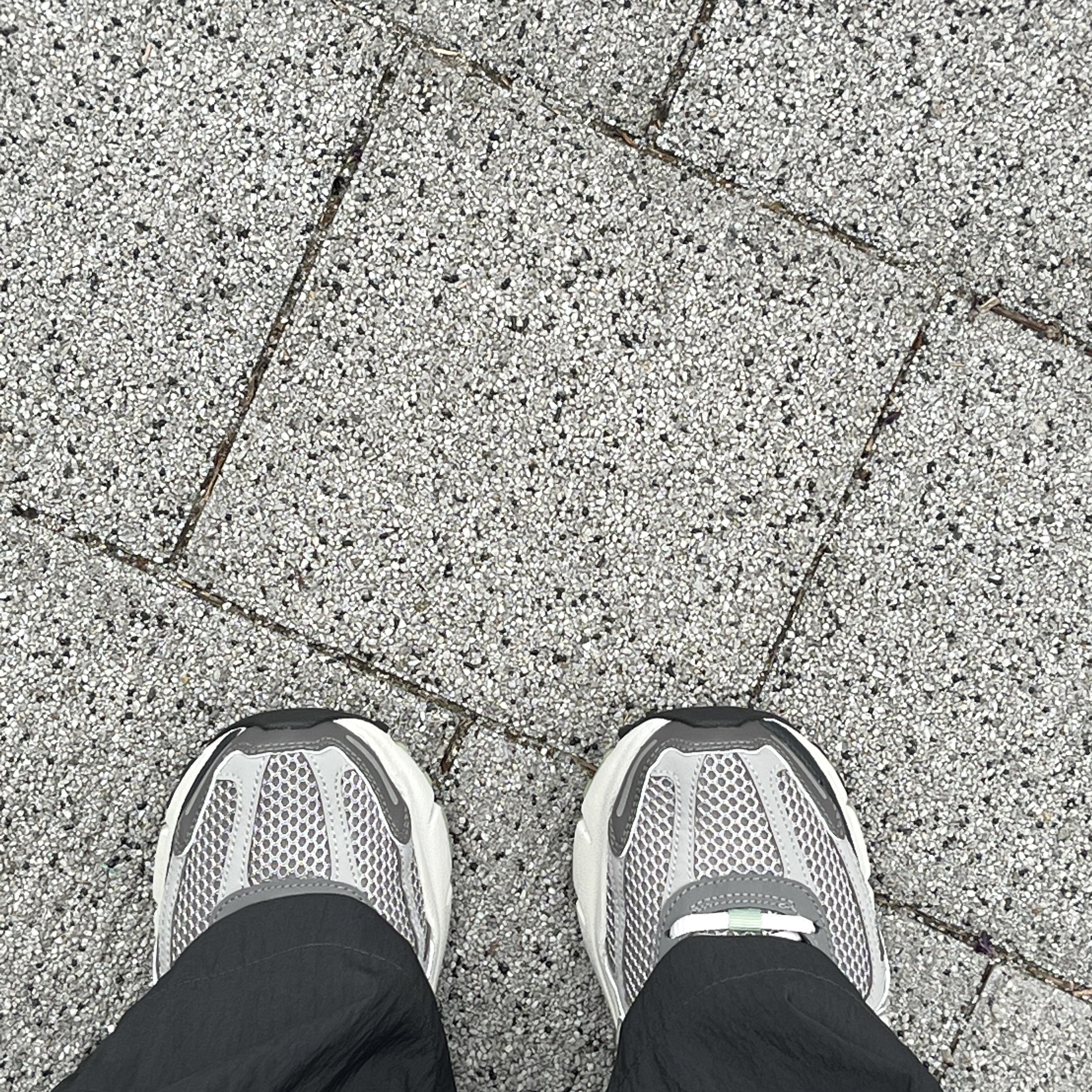 (W) Nike Zoom Vomero 5 Cobblestone and Flat Pewter 착용 스타일