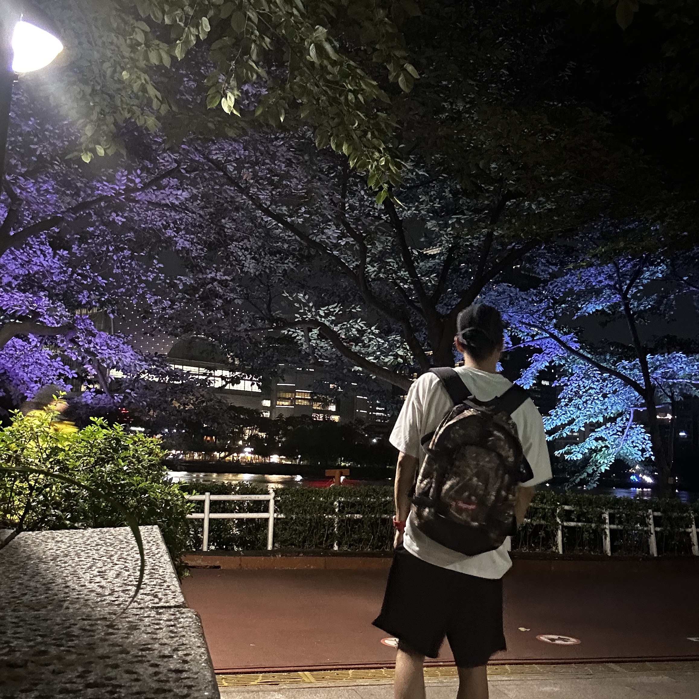 Supreme Backpack Real Tree Camo - 19FW, Apple Watch Ultra 49mm Titanium Case with L Alpine Loop Green (Korean Ver.) 착용 스타일 - 3
