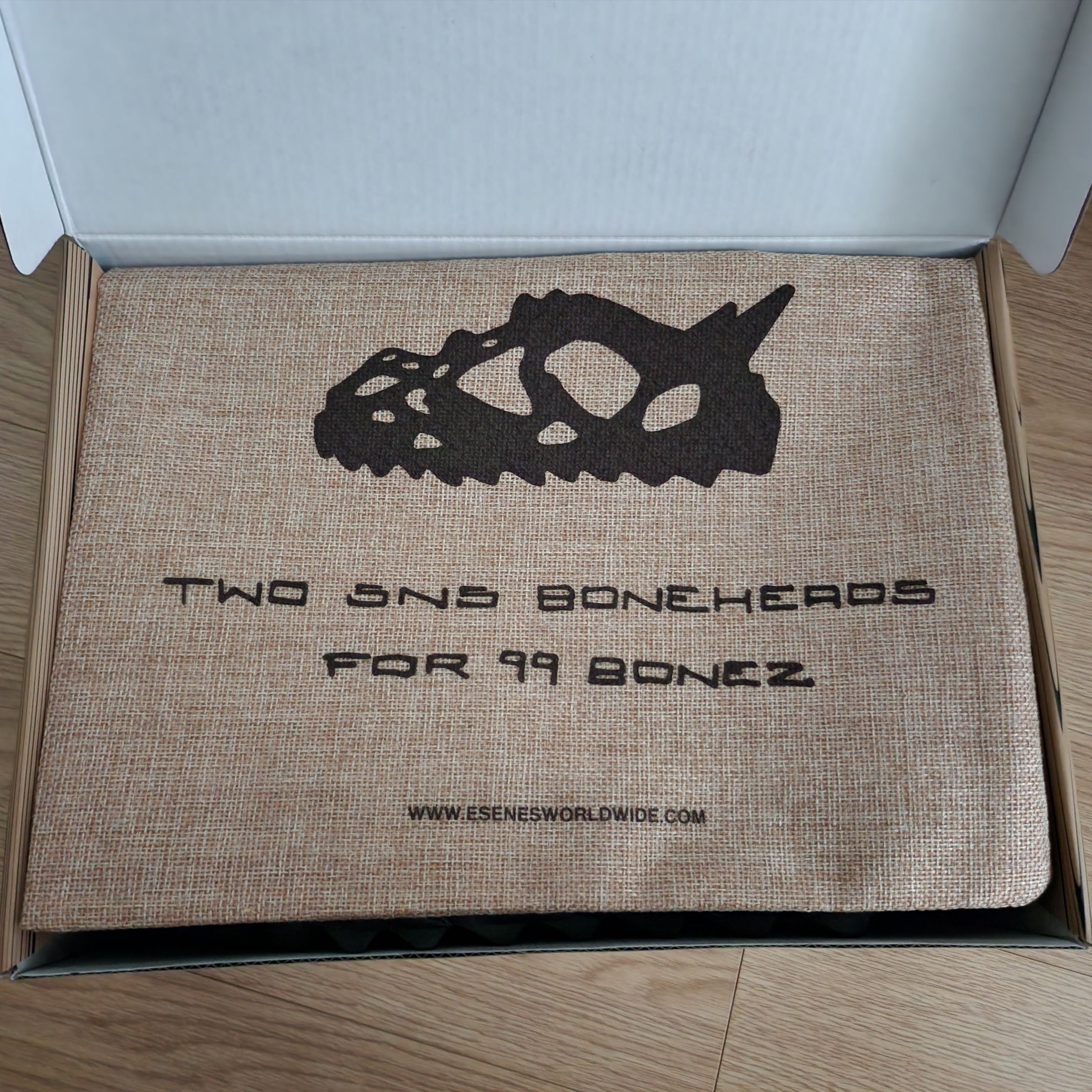 Esenes Worldwide Boneheads Onyx 착용 스타일 - 1