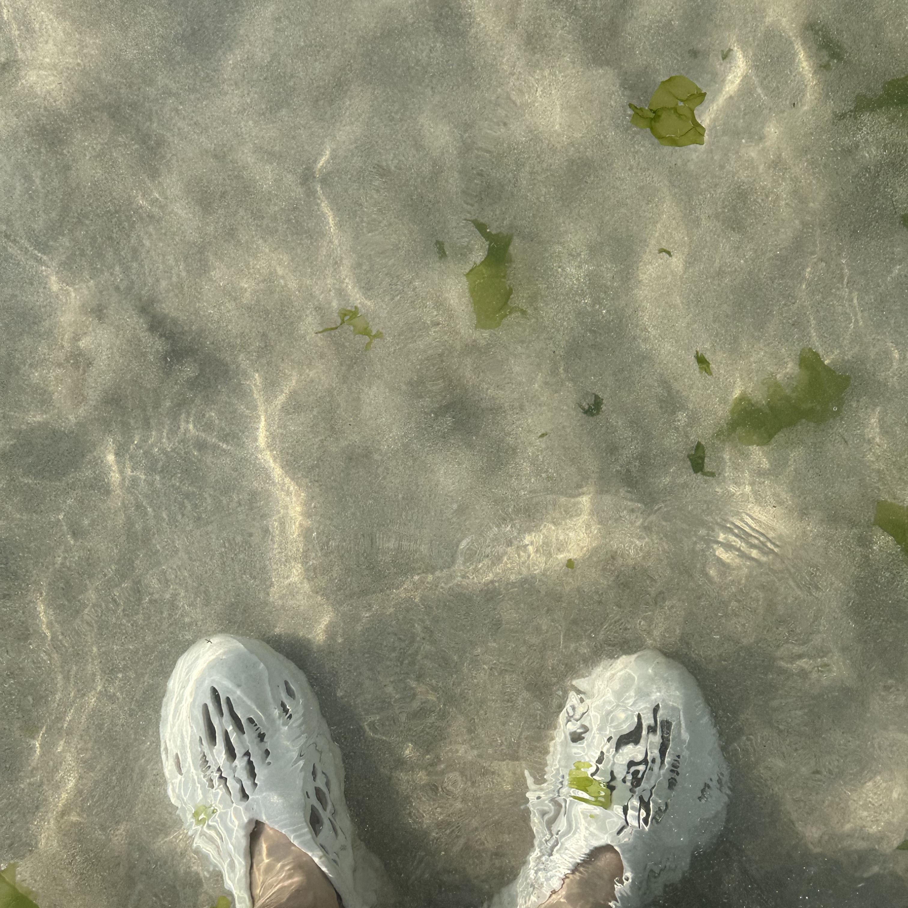 Adidas Yeezy Foam RNNR Sand 착용 스타일