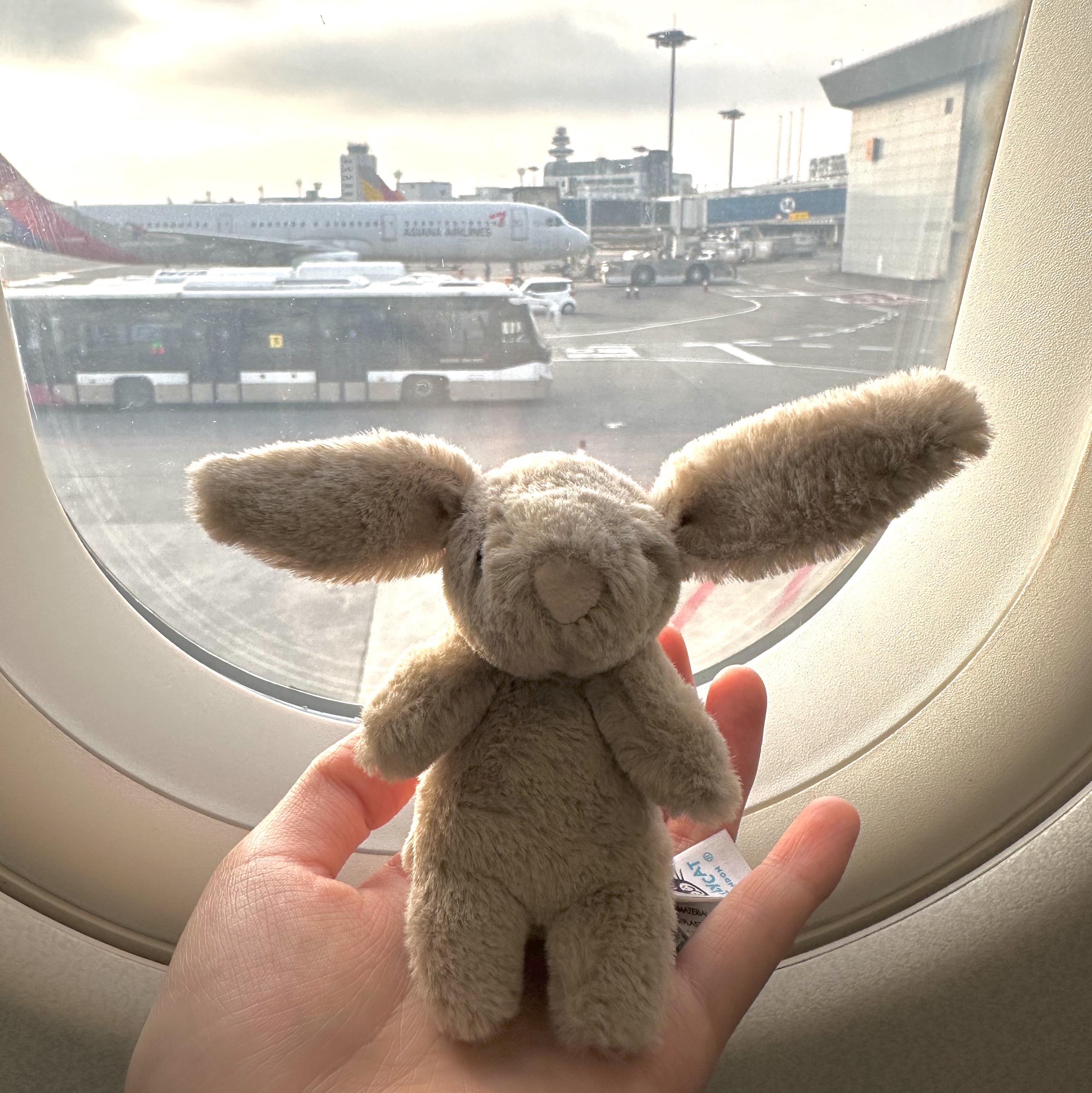 Jellycat Bashful Bunny Bag Charm Beige 착용 스타일