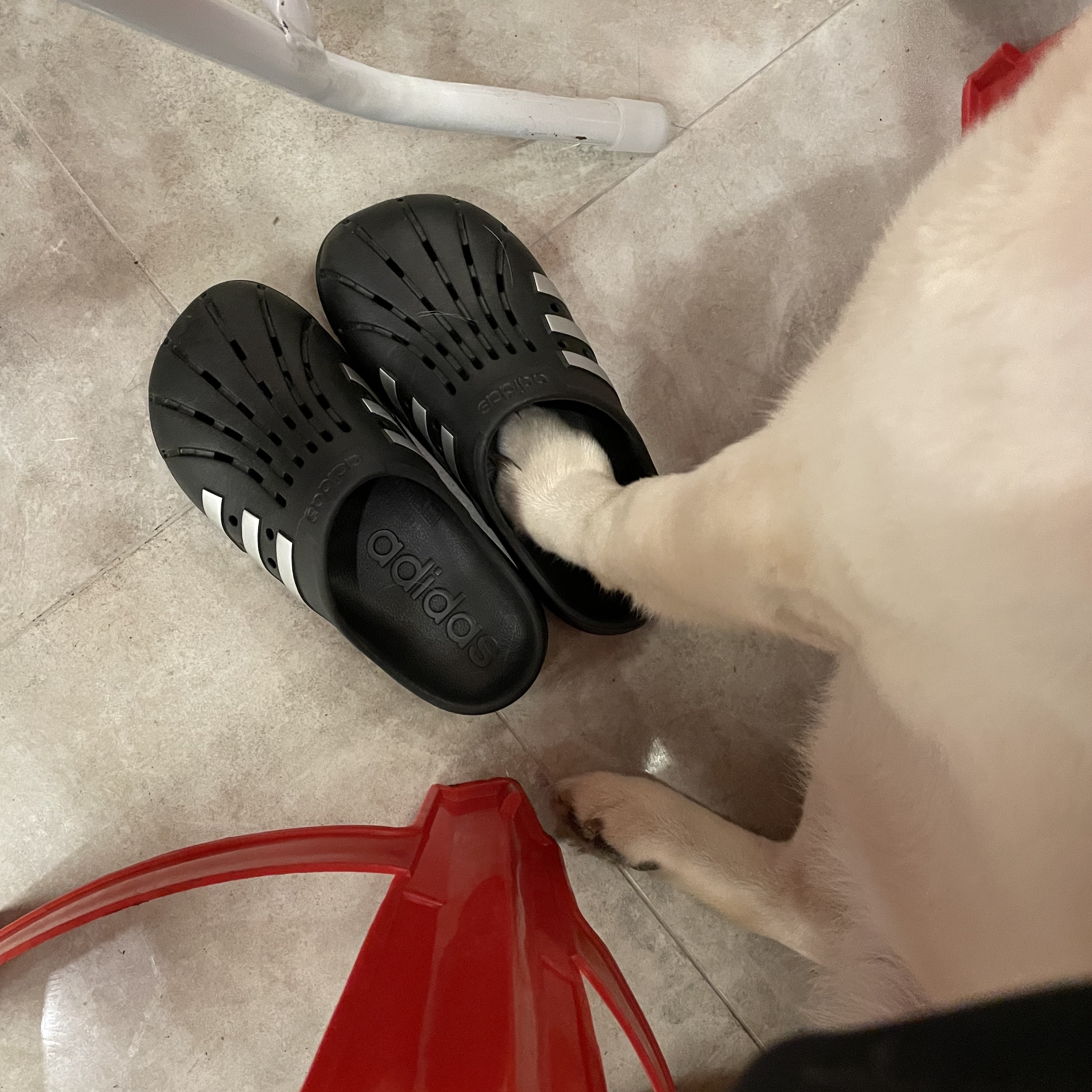 Adidas Adilette Clogs Core Black Silver Metallic 착용 스타일