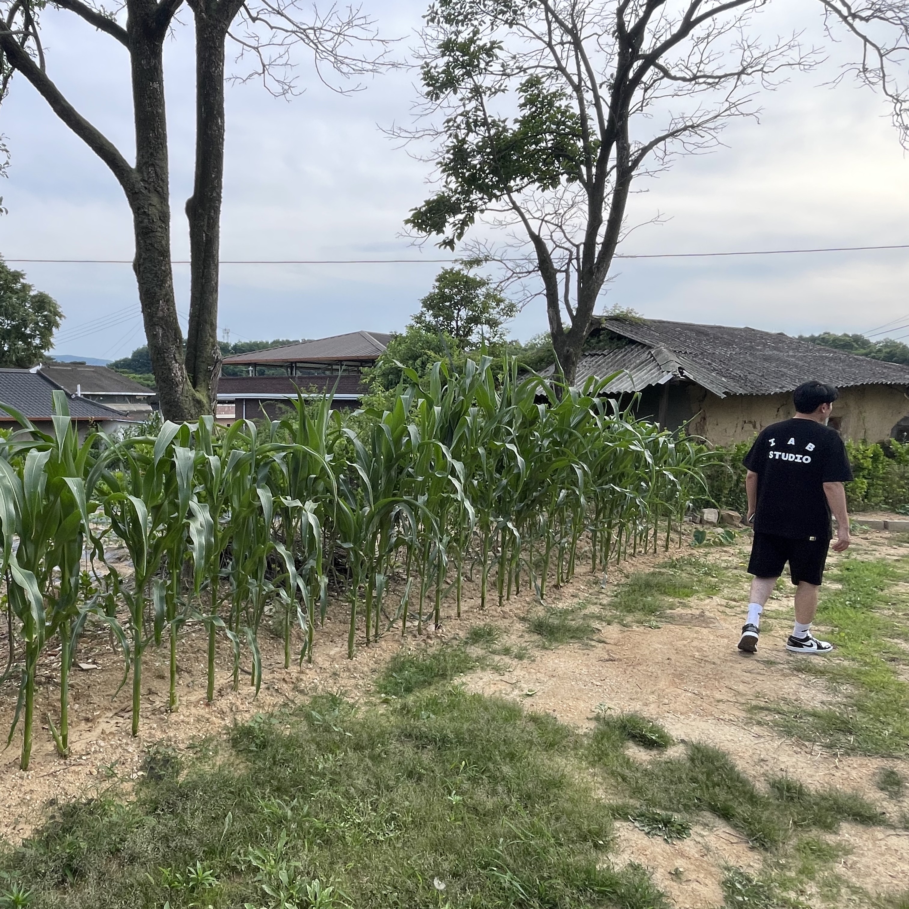 IAB Studio 10th Anniversary T-Shirt Black, Jordan 1 Low SE Concord 착용 스타일 - 3