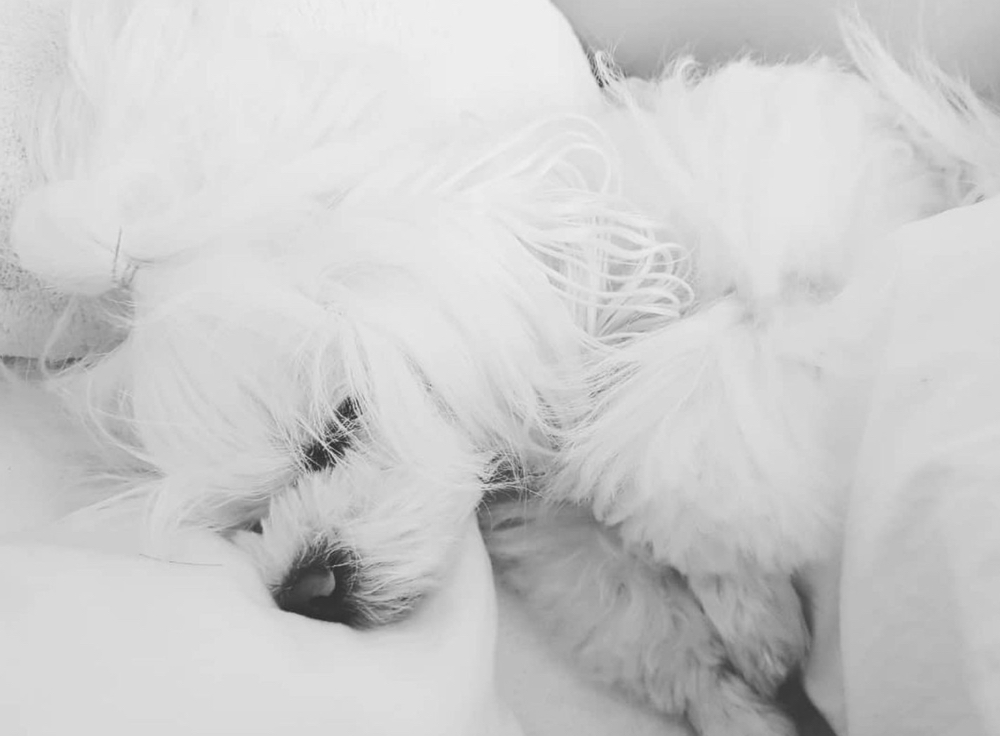 관심 유저 프로필 이미지