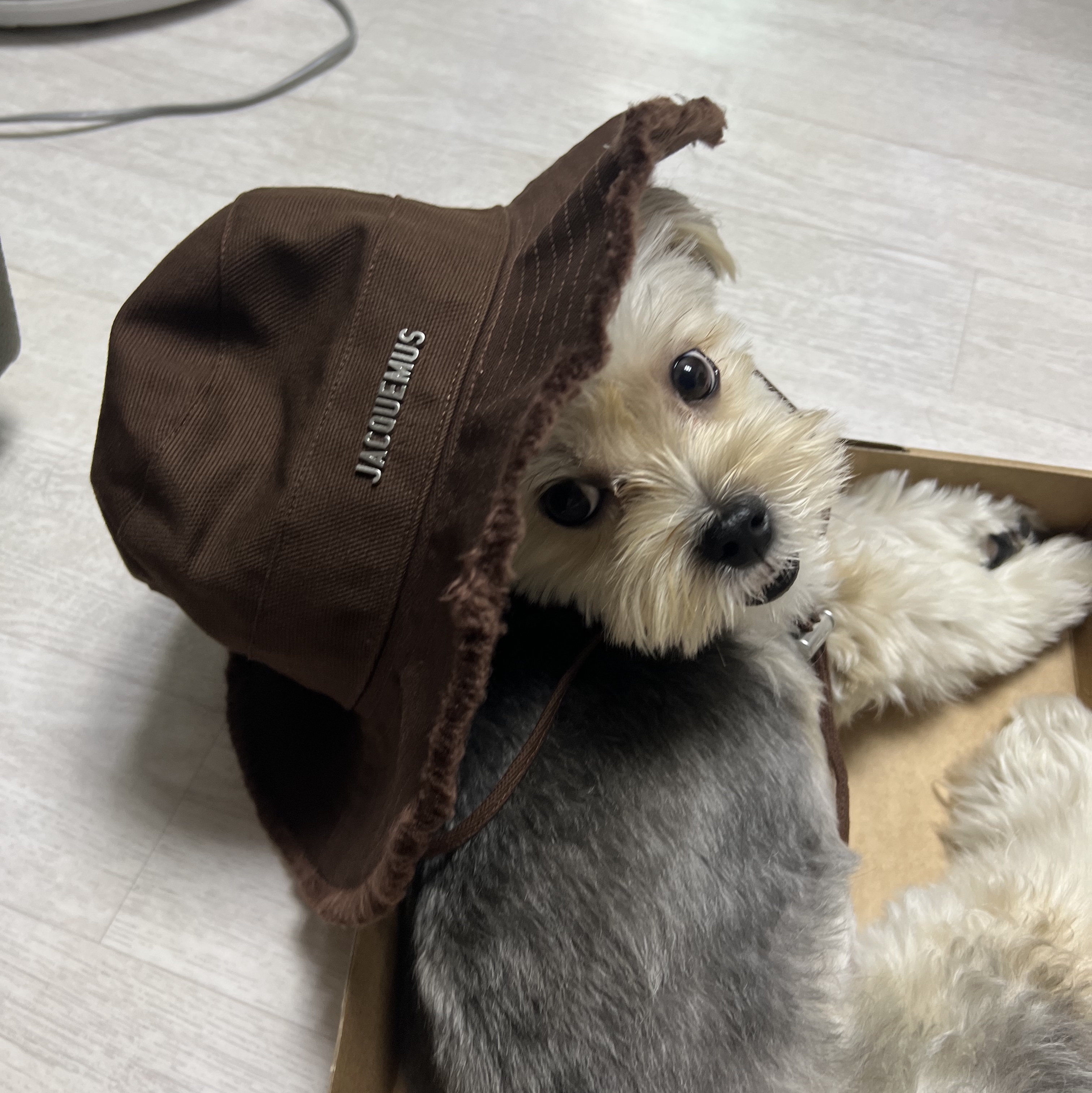 Jacquemus Le Bob Artichaut Bucket Hat Brown 착용 스타일 - 1